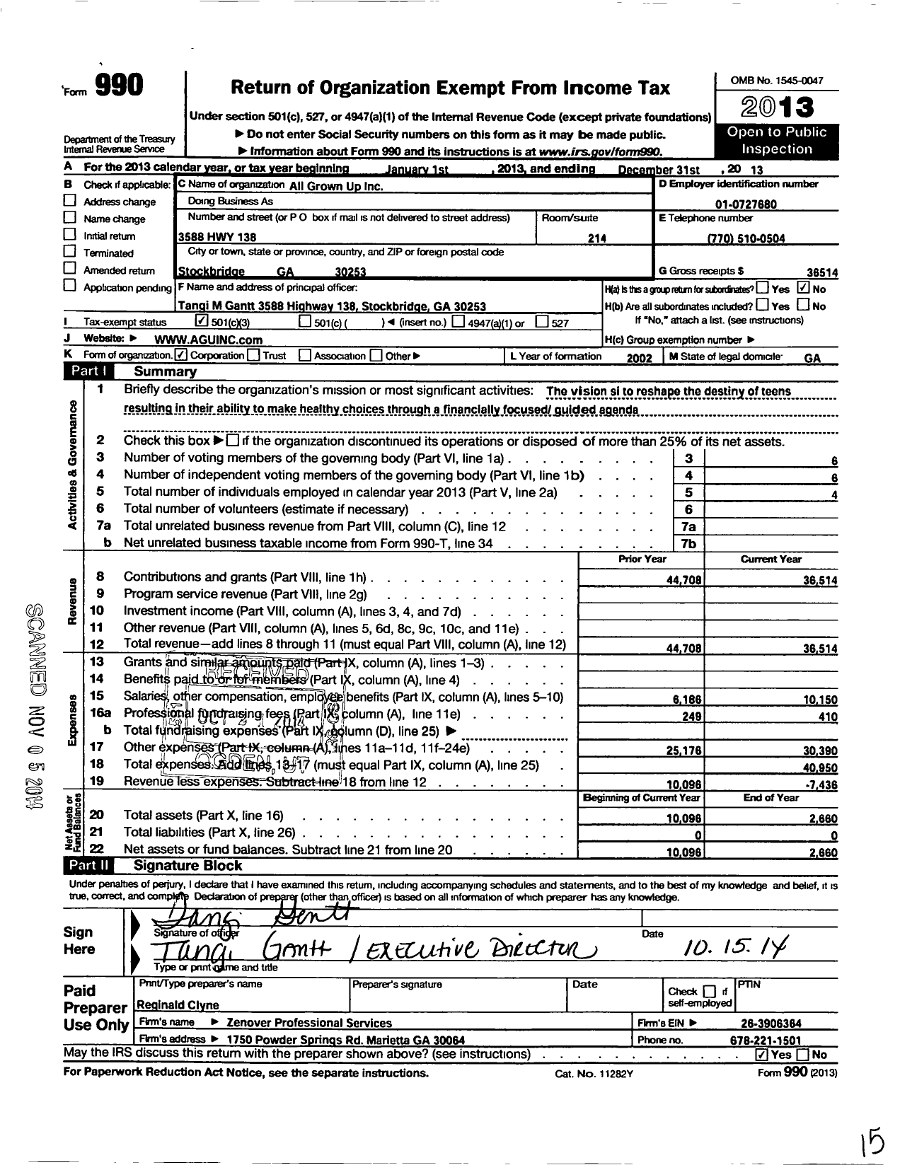 Image of first page of 2013 Form 990 for All Grown Up