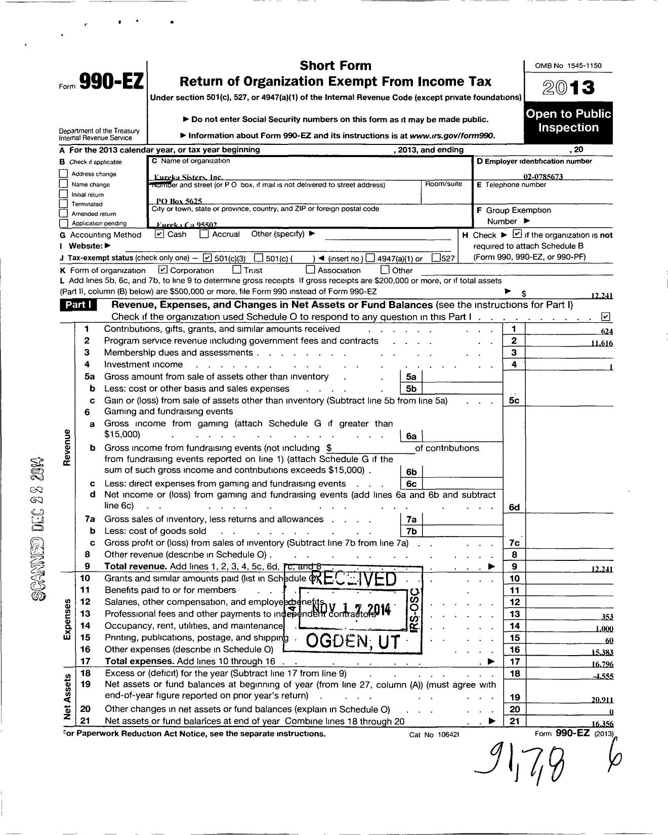 Image of first page of 2013 Form 990EZ for Eureka Sisters