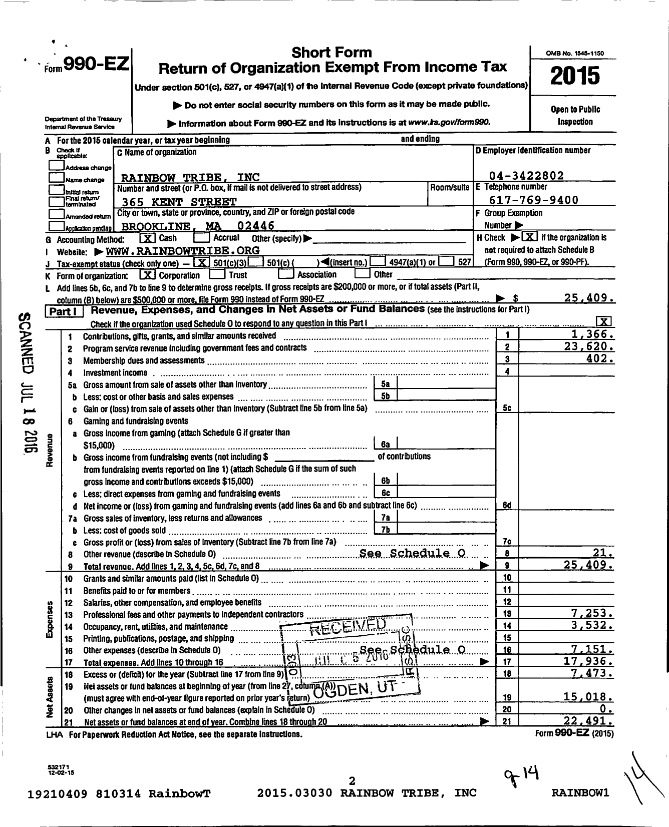 Image of first page of 2015 Form 990EZ for Rainbow Tribe