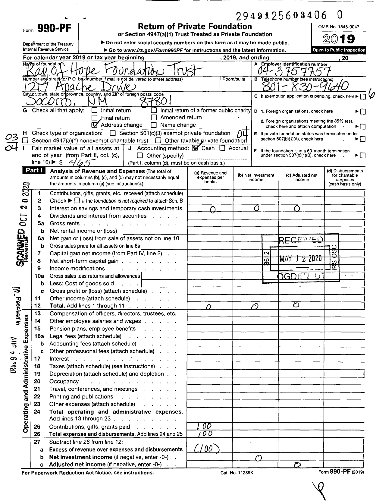 Image of first page of 2019 Form 990PR for Ray of Hope Foundation