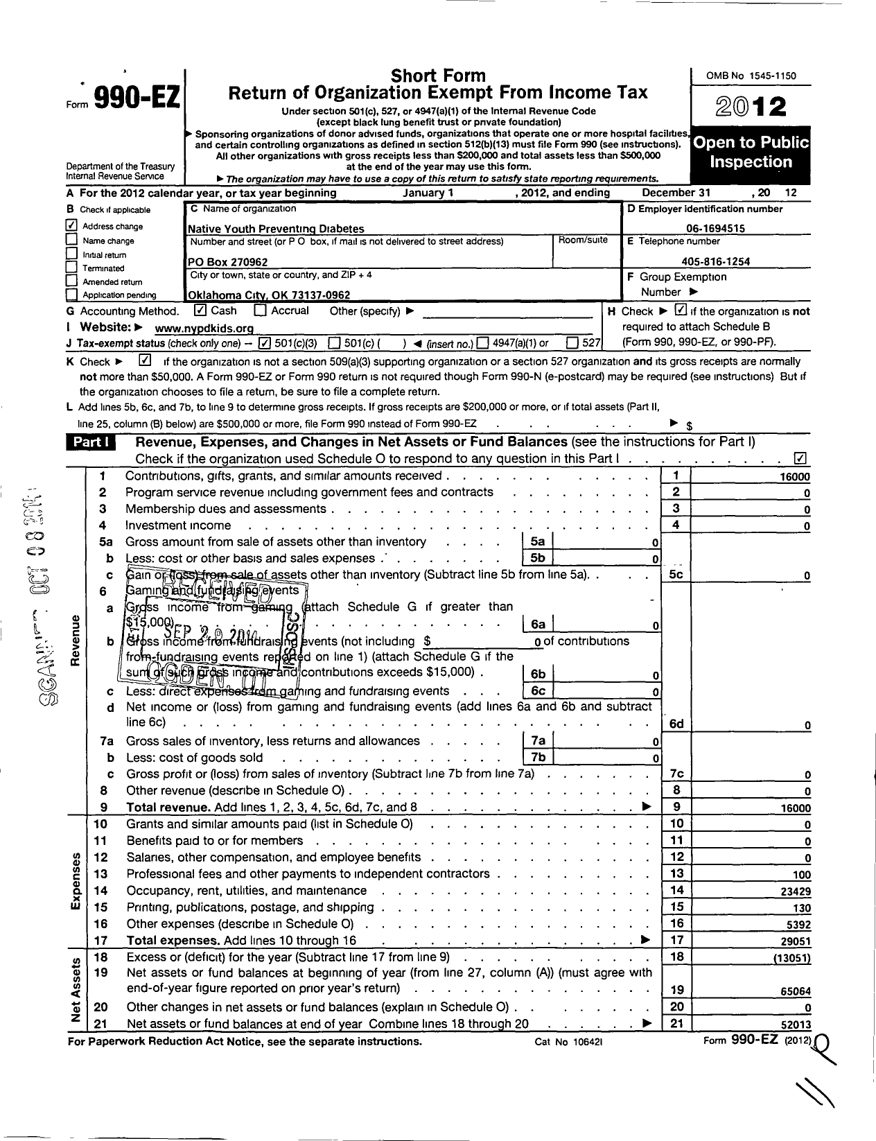 Image of first page of 2012 Form 990EZ for Native Youth Preventing Diabetes