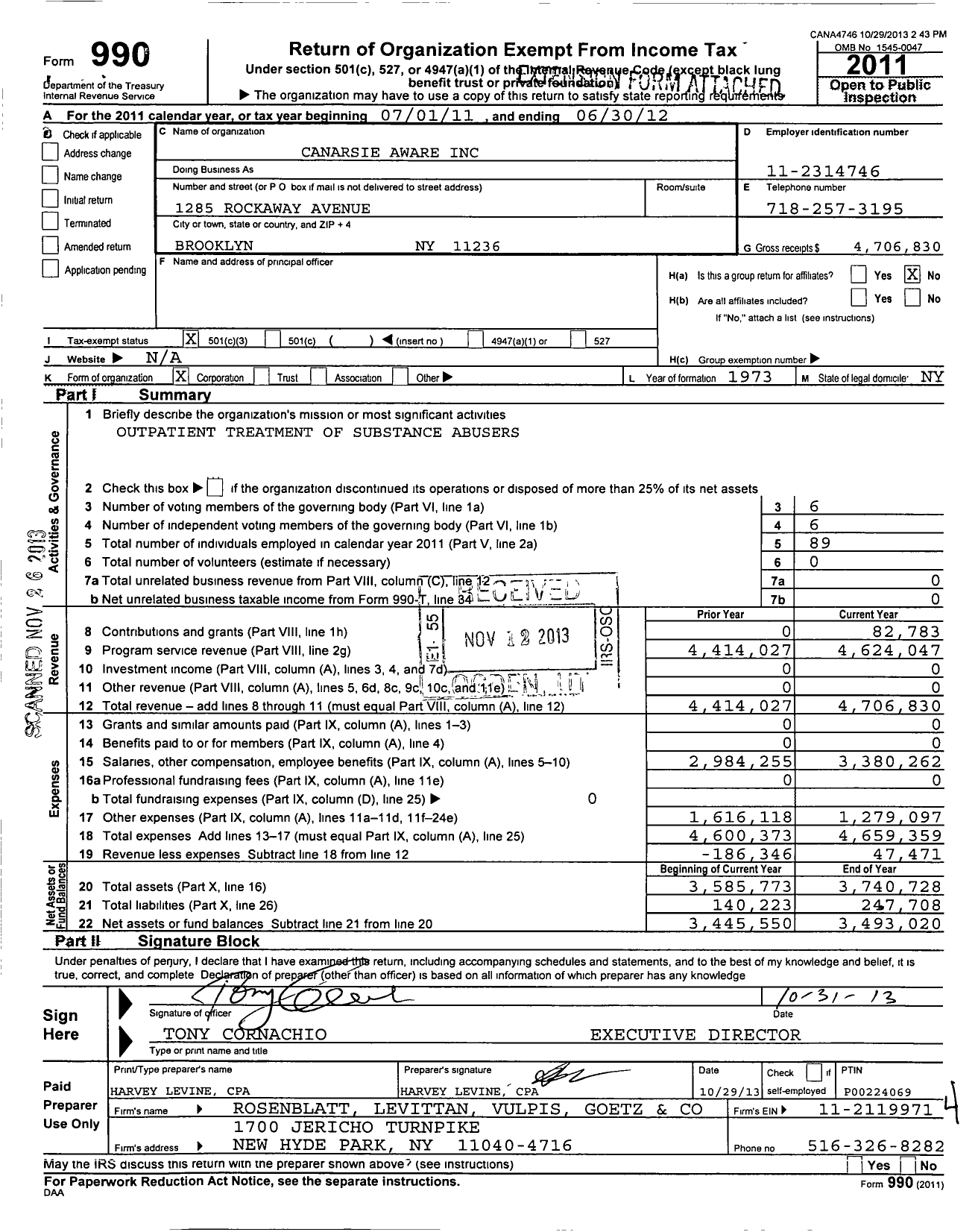 Image of first page of 2011 Form 990 for Canarsie Aware
