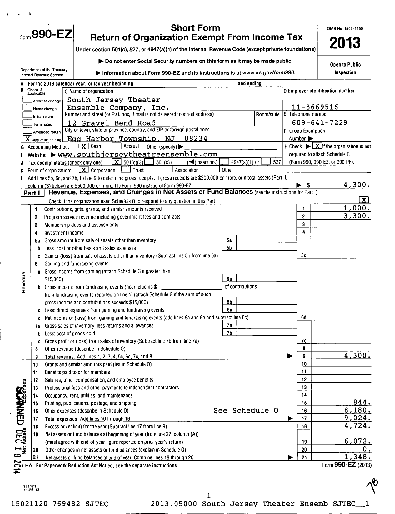 Image of first page of 2013 Form 990EZ for South Jersey Theater Ensemble Company (SJTEC)