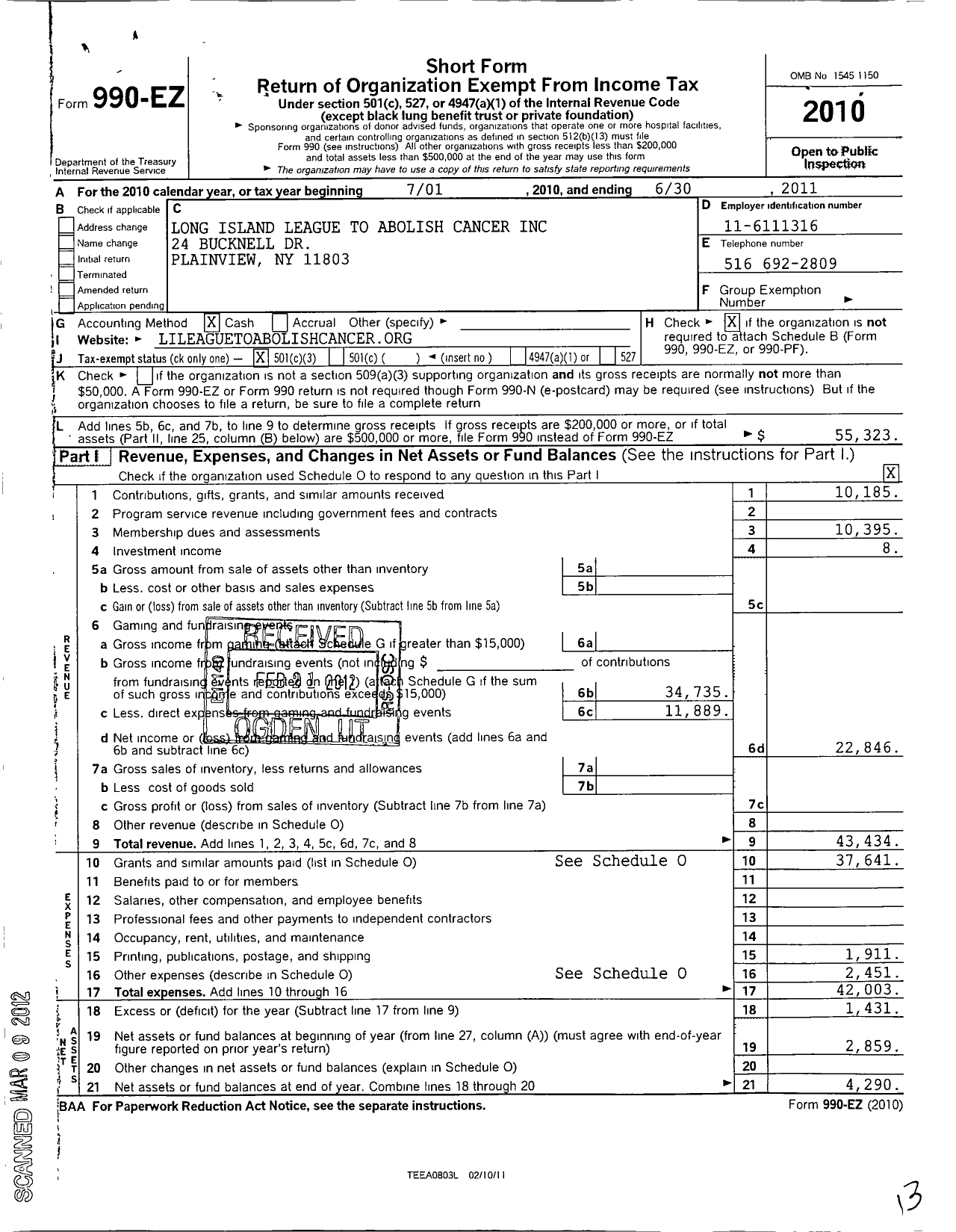 Image of first page of 2010 Form 990EZ for Long Island League To Abolish Cancer