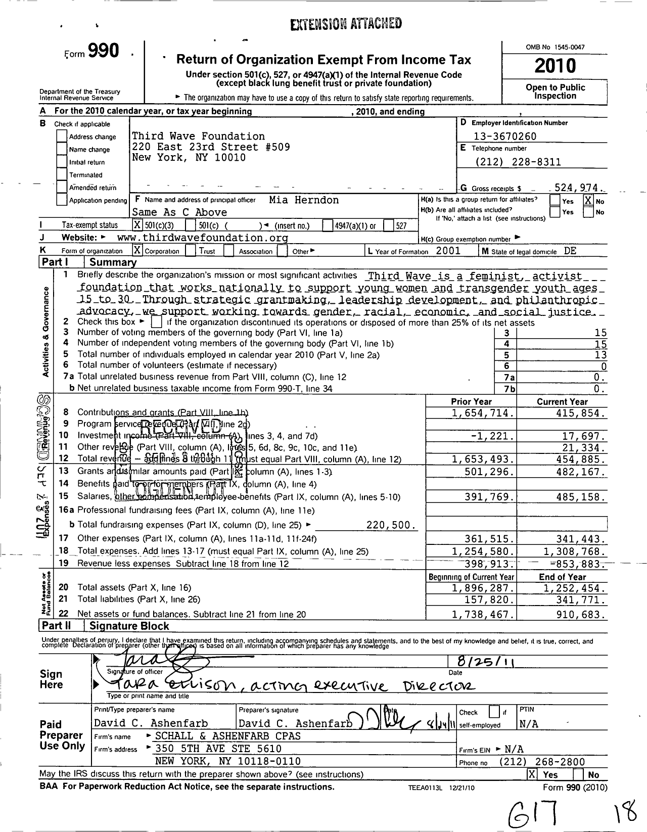 Image of first page of 2010 Form 990 for Third Wave Foundation