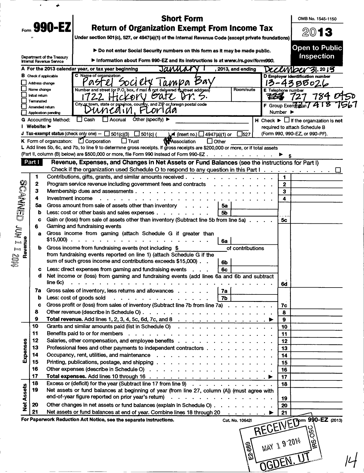 Image of first page of 2013 Form 990EO for Pastel Society of Tampa Bay