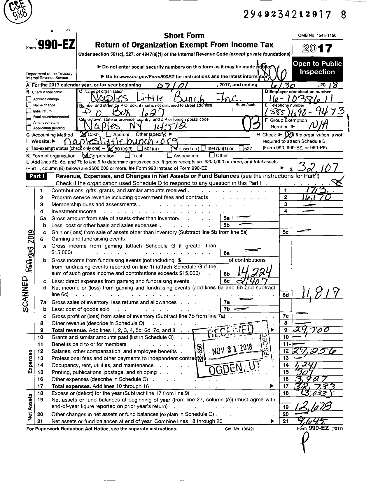 Image of first page of 2017 Form 990EZ for Naples Little Bunch