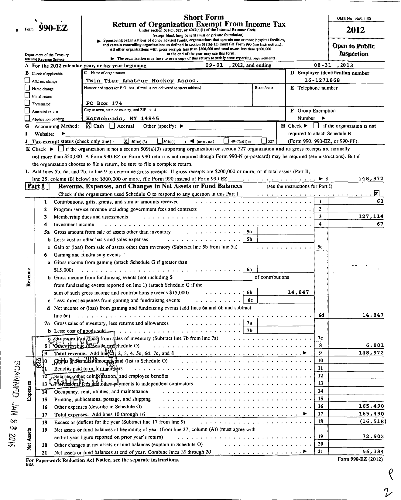 Image of first page of 2012 Form 990EZ for Twin Tier Amateur Hockey Assoc