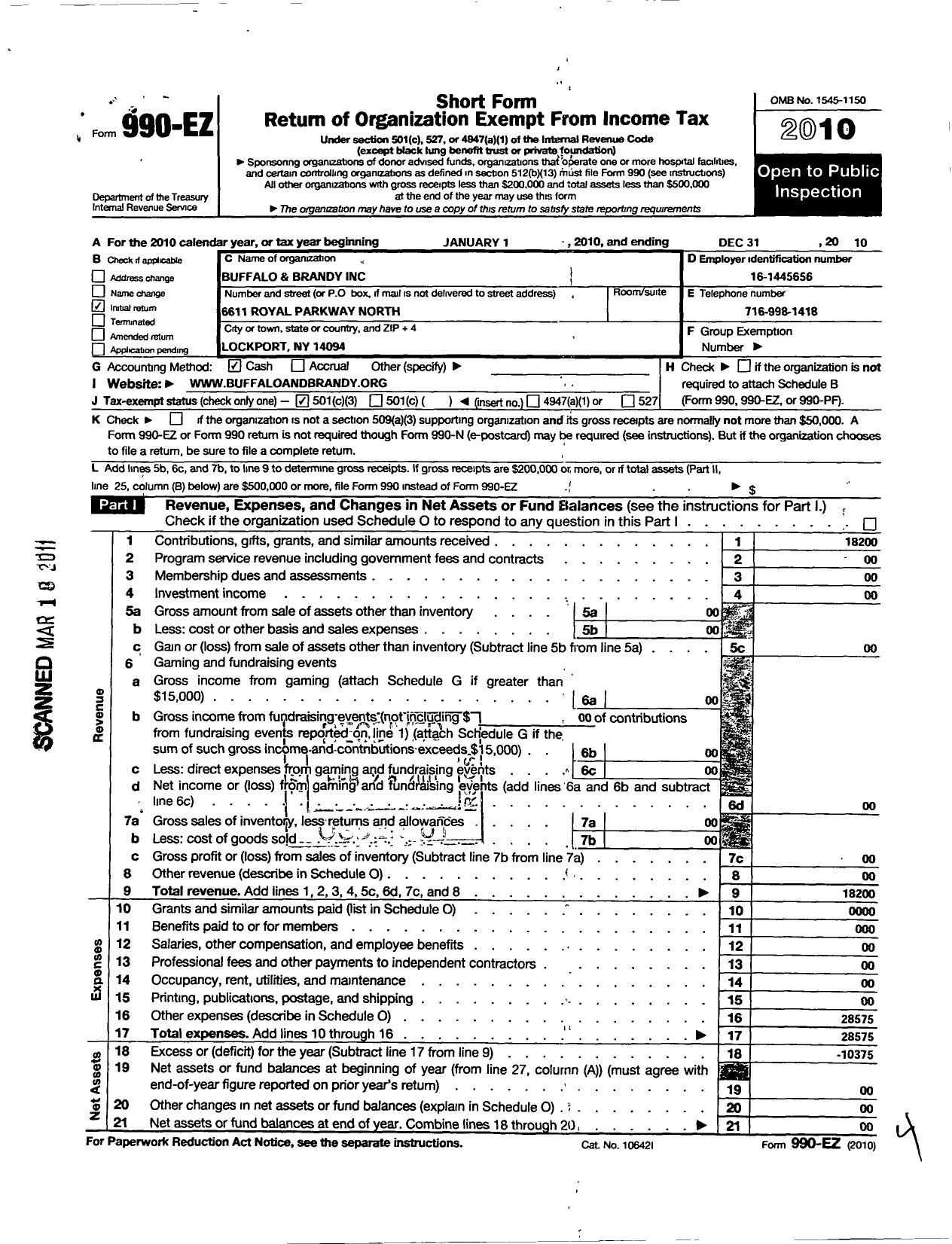 Image of first page of 2010 Form 990EZ for Buffalo and Brandy