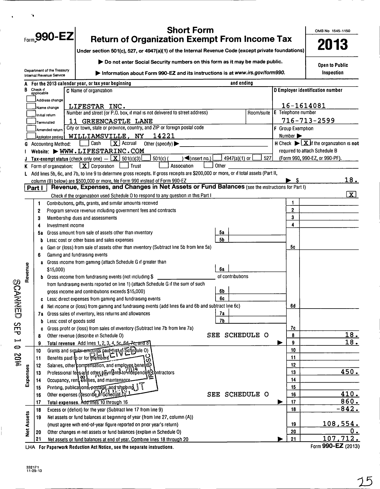 Image of first page of 2013 Form 990EZ for LifeStar