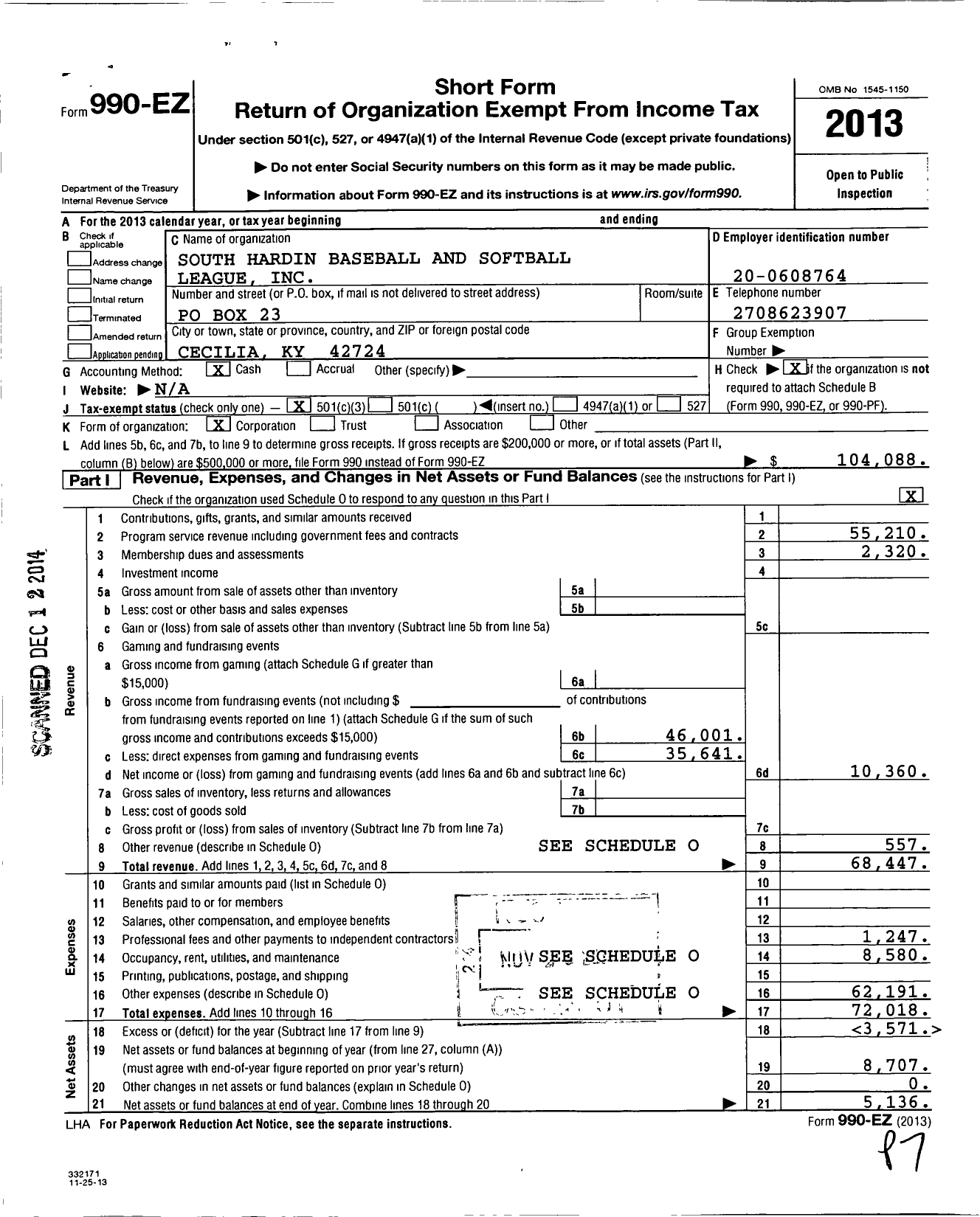 Image of first page of 2013 Form 990EZ for South Hardin Baseball and Softball