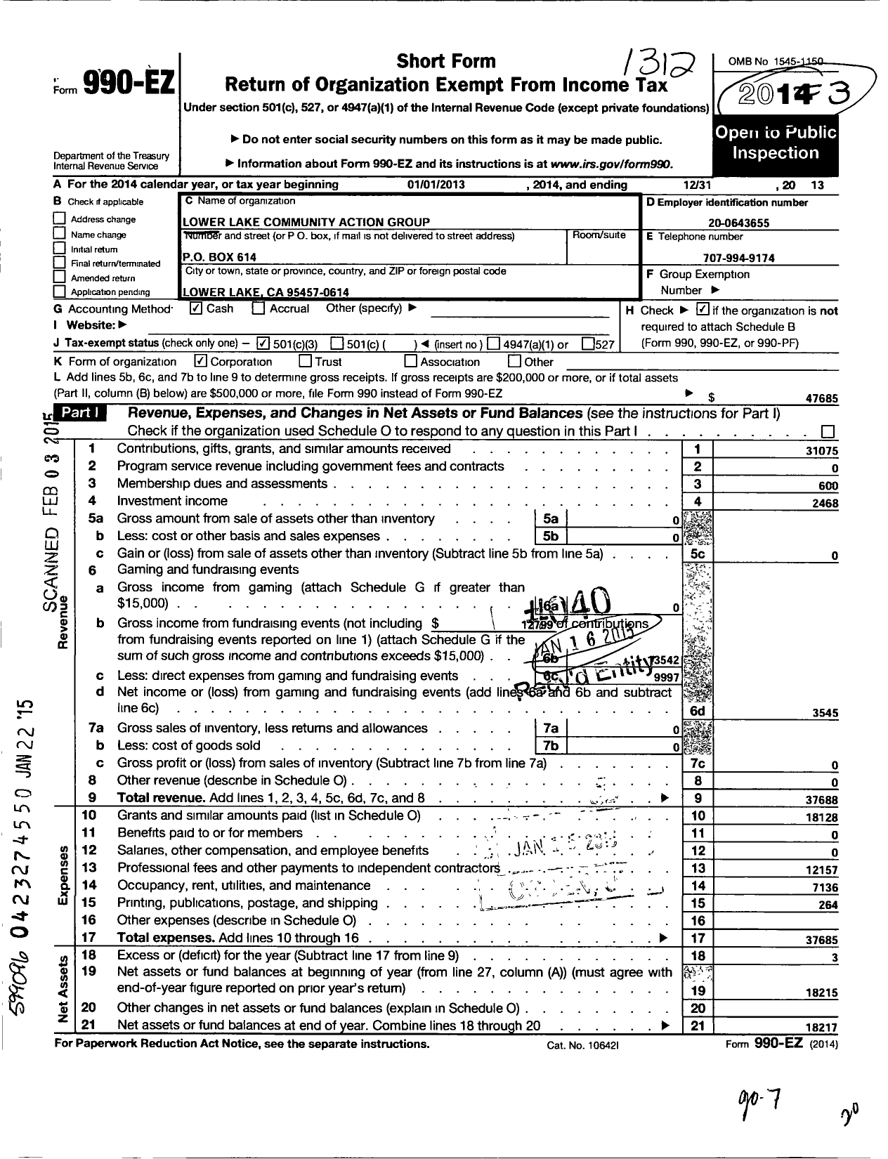 Image of first page of 2013 Form 990EZ for Lower Lake Community Action Group