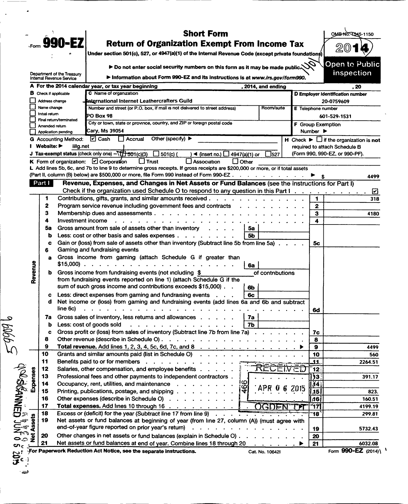 Image of first page of 2013 Form 990EZ for International Internet Leathercrafts Guild