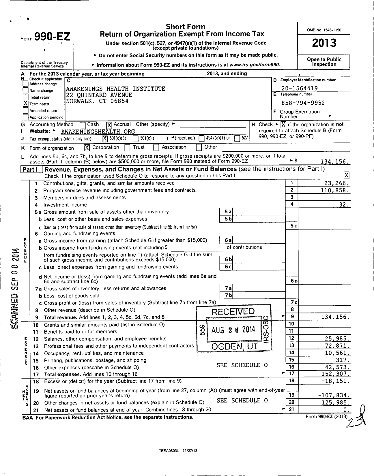 Image of first page of 2013 Form 990EZ for Awakenings Health Institute