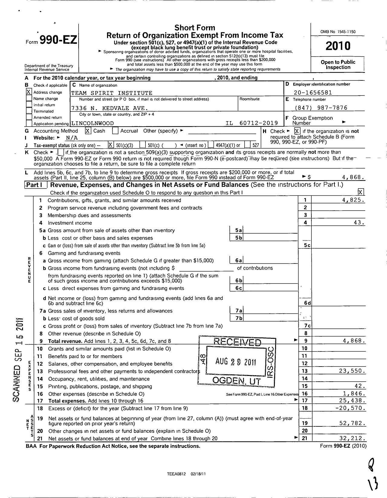 Image of first page of 2010 Form 990EZ for Team Spirit Institute