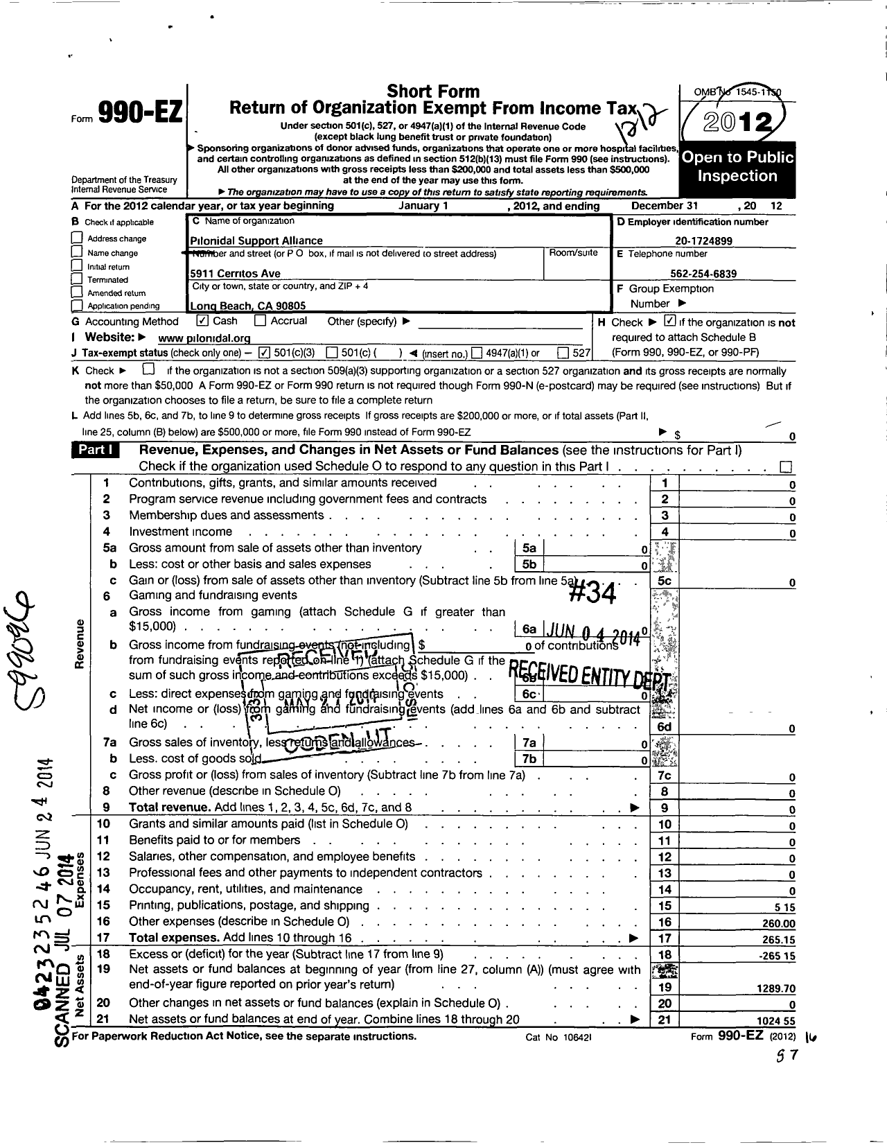 Image of first page of 2012 Form 990EZ for Pilonidal Support Alliance