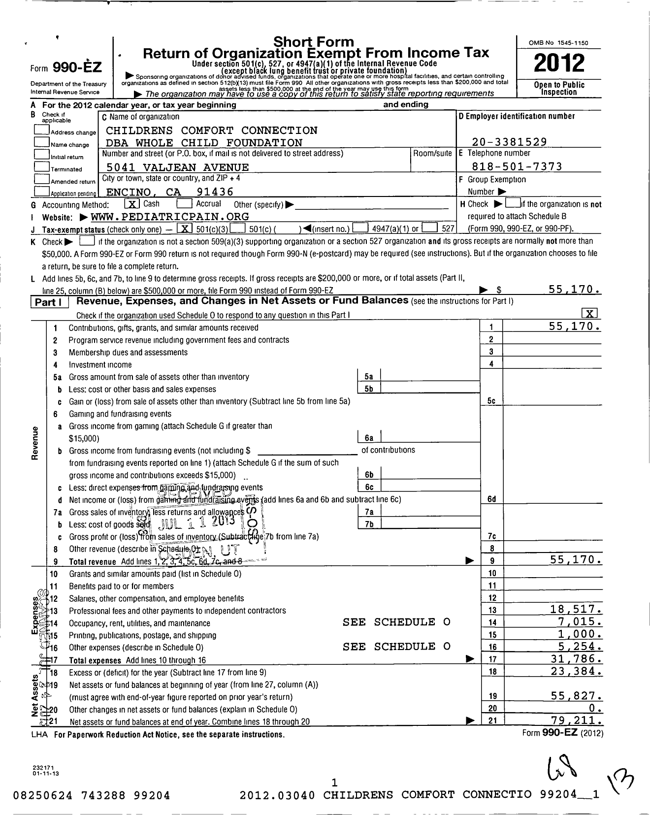 Image of first page of 2012 Form 990EZ for Creative Healing For Youth In Pain