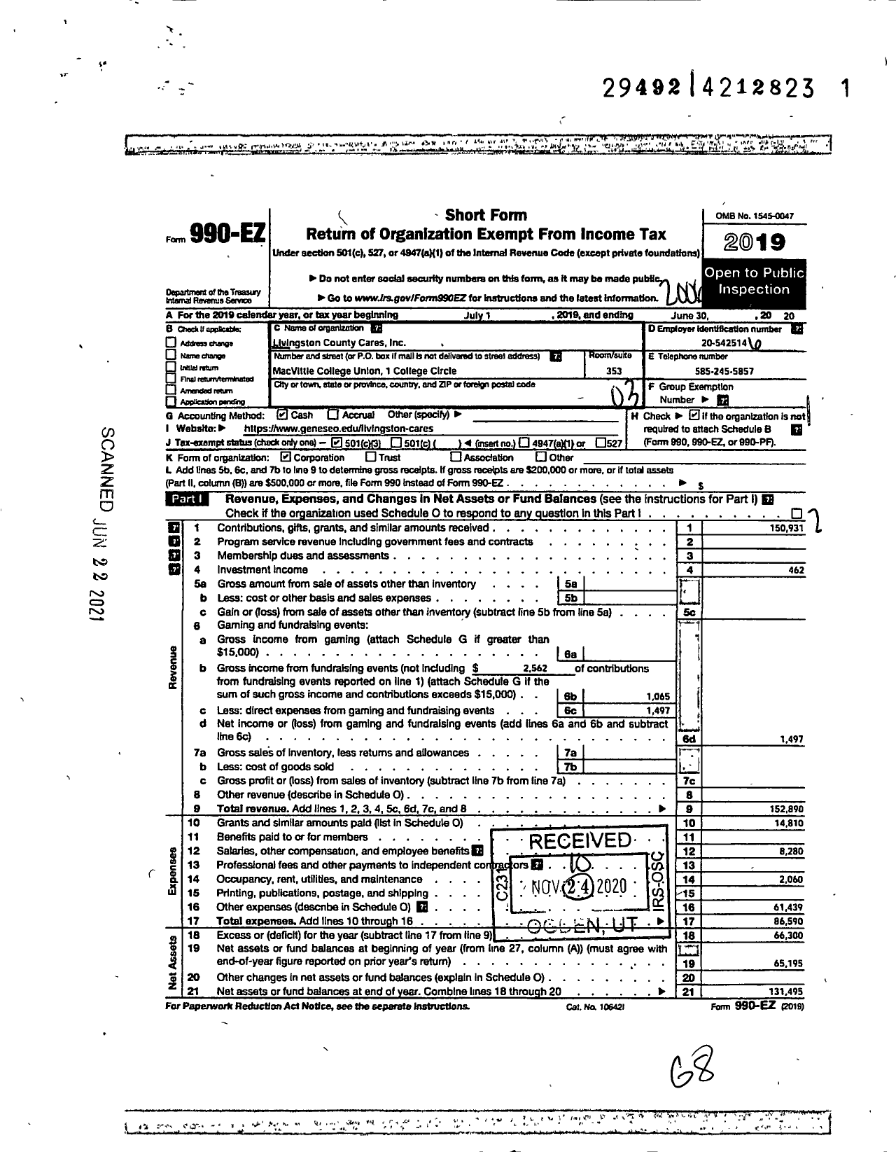 Image of first page of 2019 Form 990EZ for Livingston County Cares