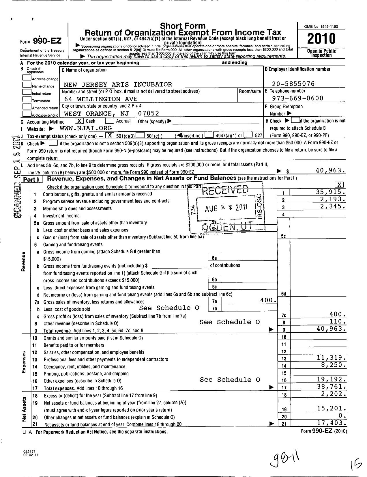 Image of first page of 2010 Form 990EZ for New Jersey Arts Incubator