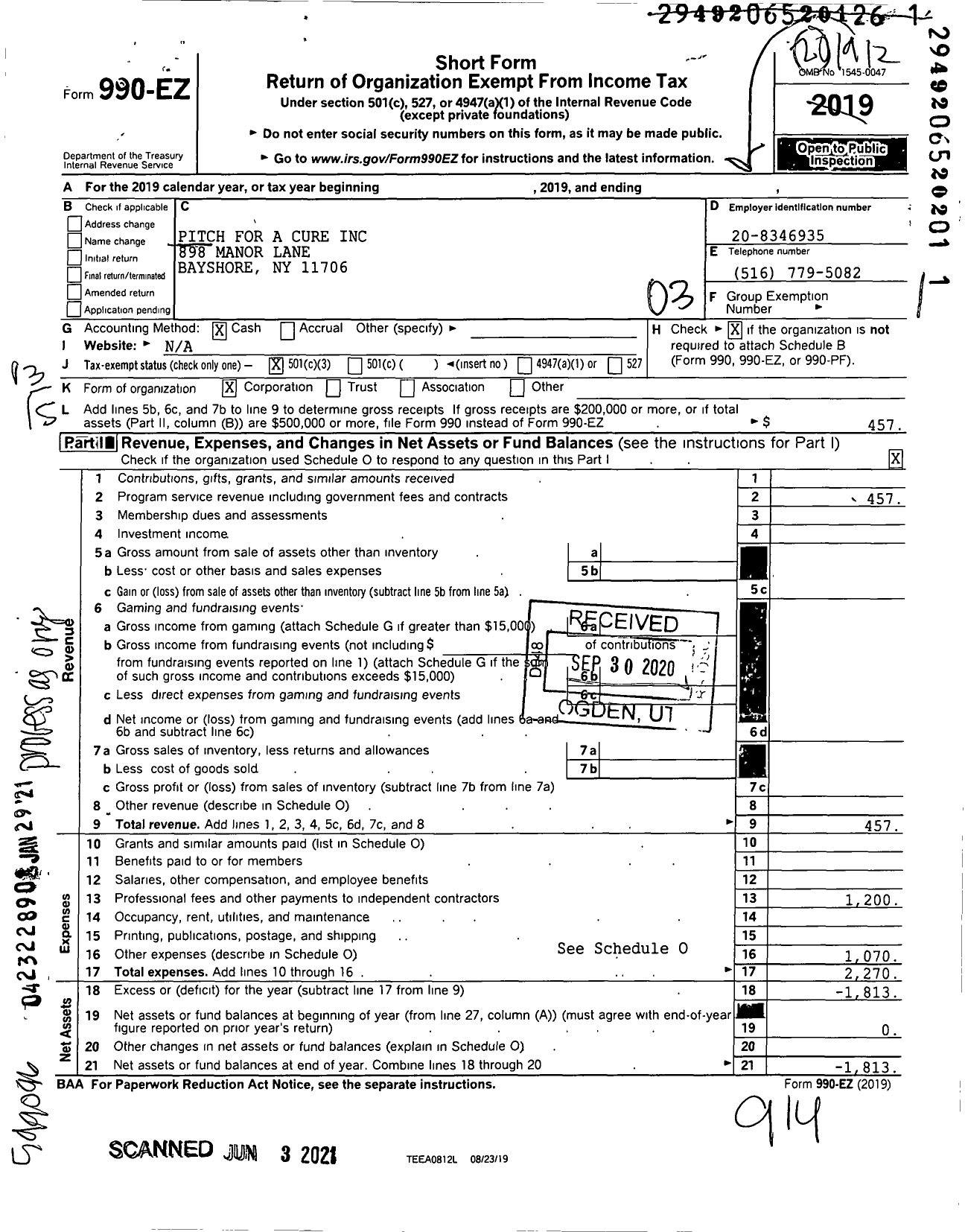 Image of first page of 2019 Form 990EZ for Pitch for A Cure