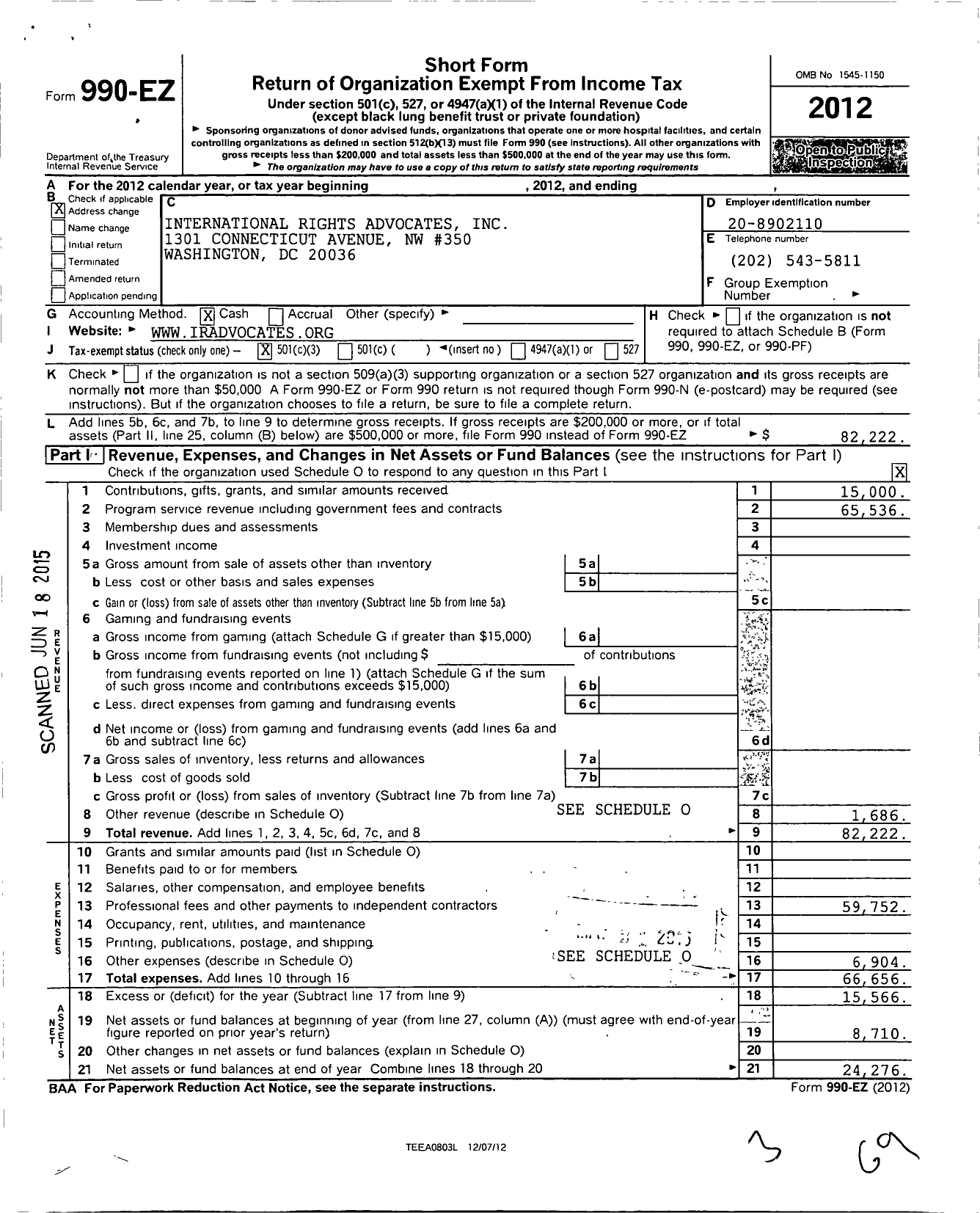 Image of first page of 2012 Form 990EZ for International Rights Advocates