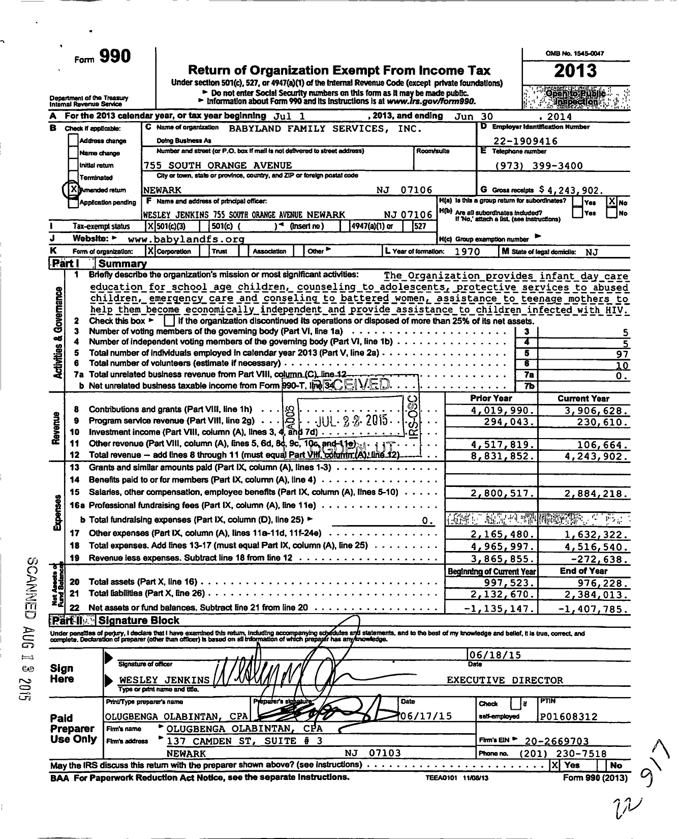 Image of first page of 2013 Form 990 for Babyland Family Services