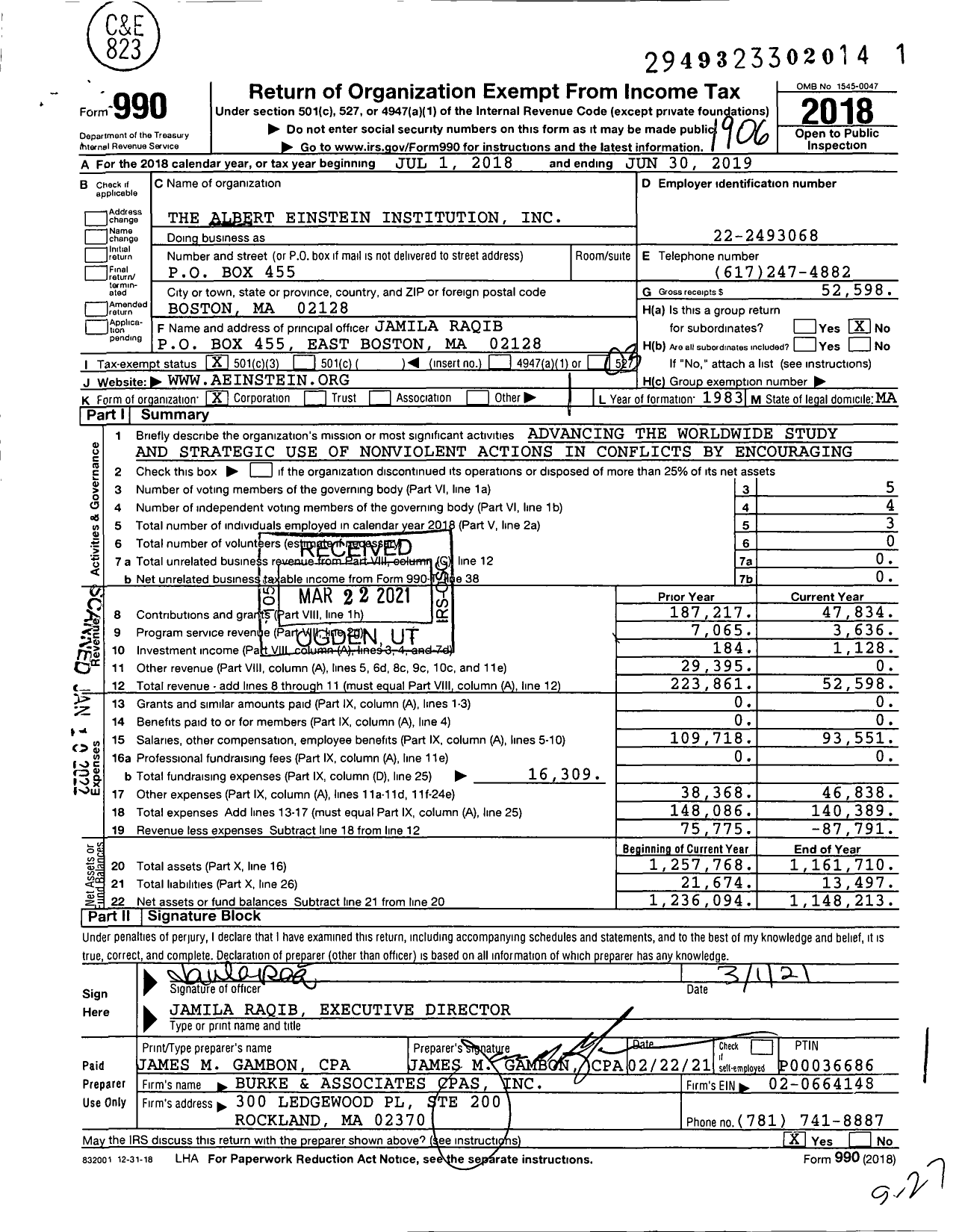 Image of first page of 2018 Form 990 for The Albert Einstein Institution