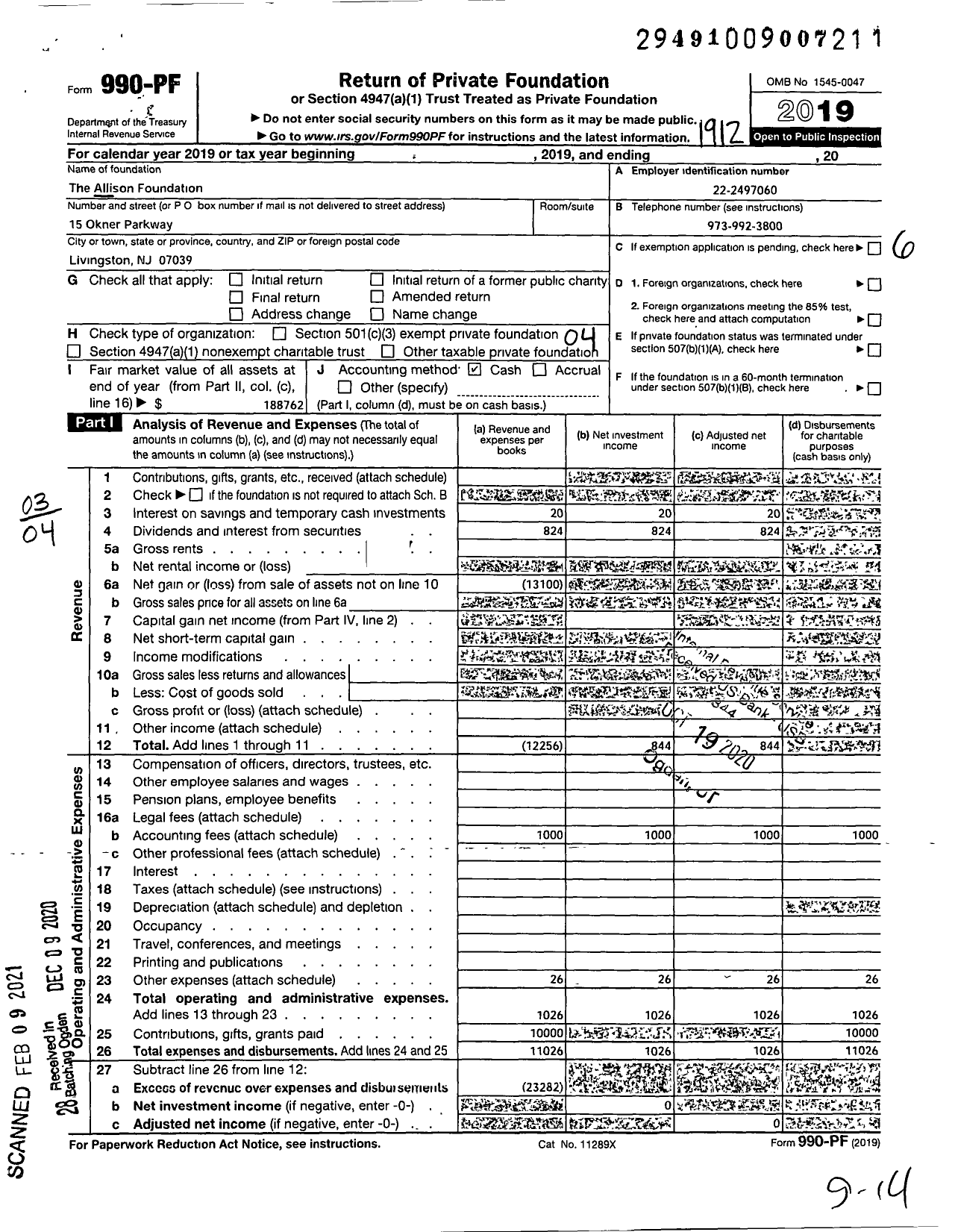 Image of first page of 2019 Form 990PF for The Allison Foundation