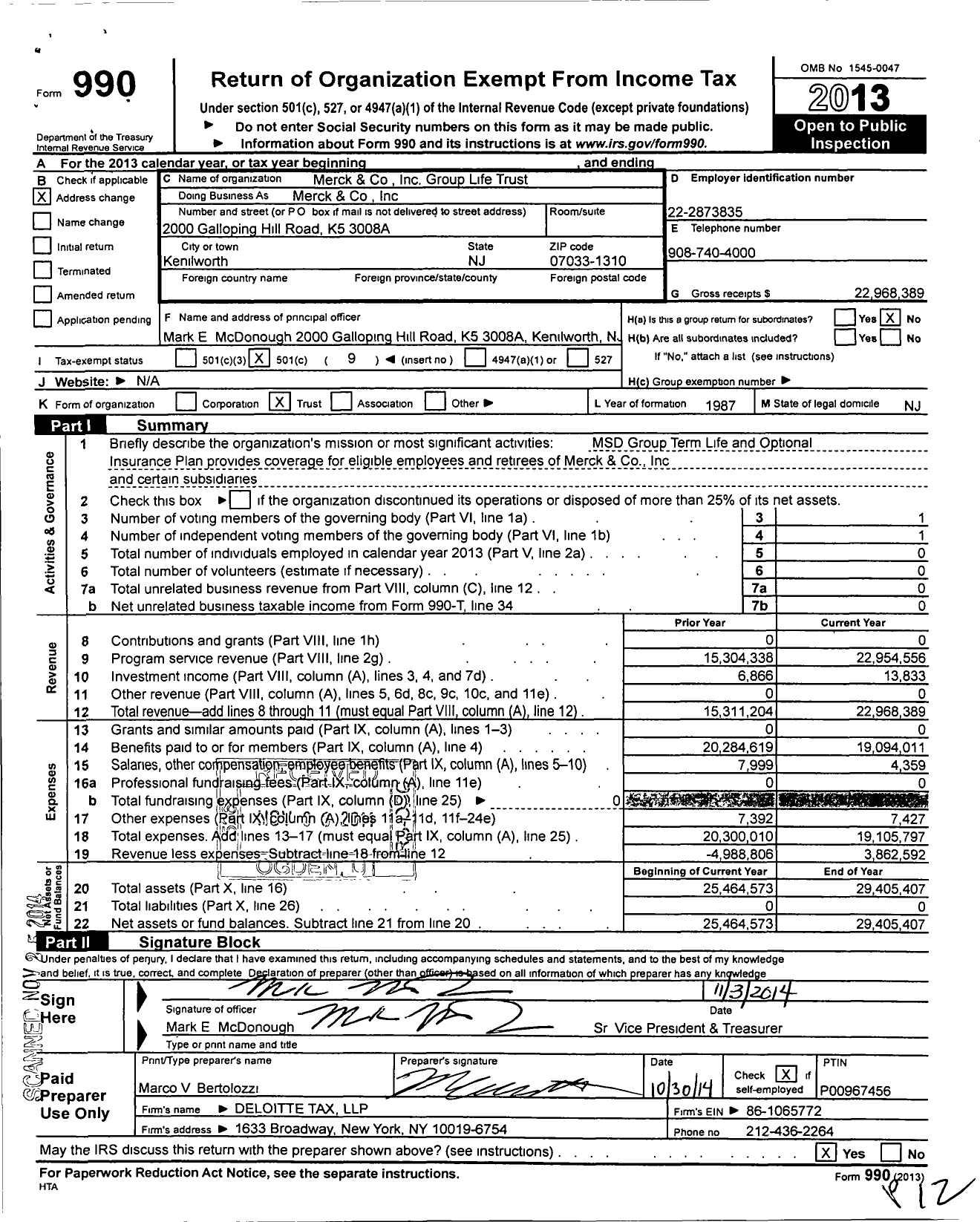 Image of first page of 2013 Form 990O for Merck and Group Life Trust