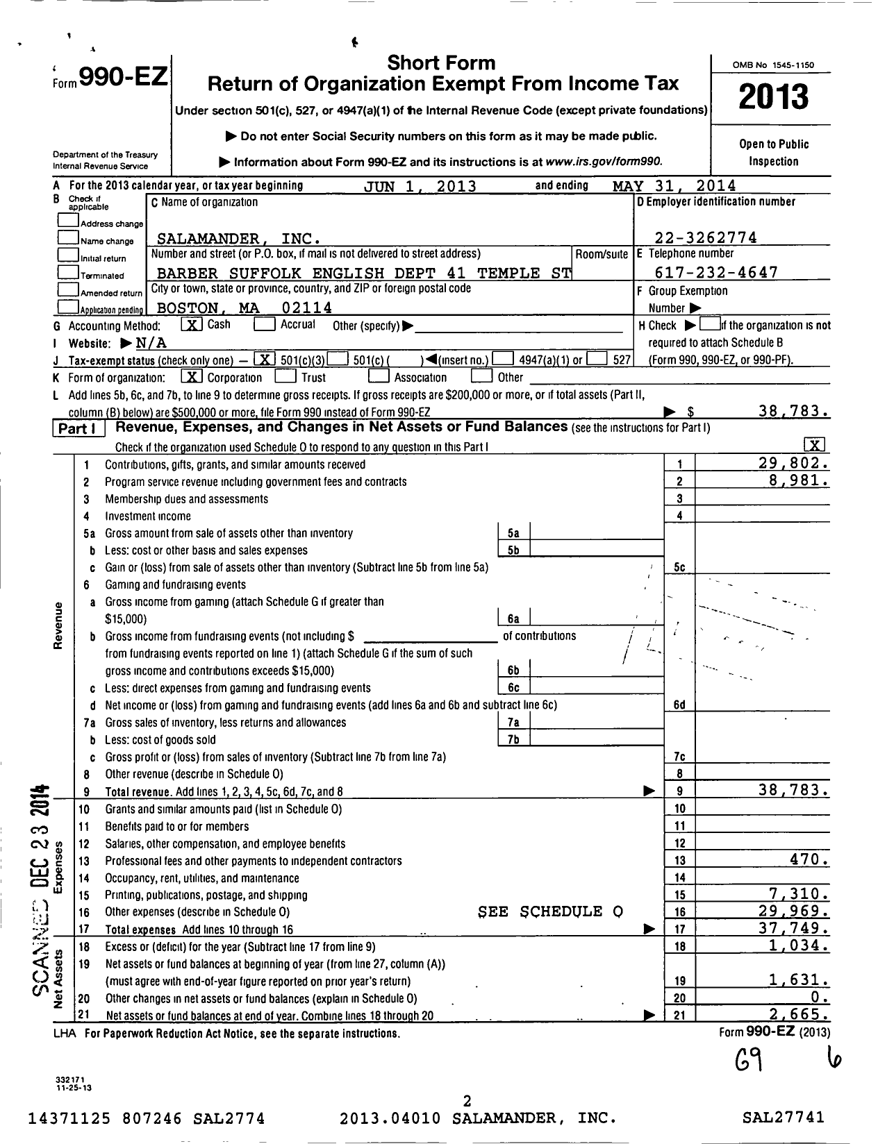 Image of first page of 2013 Form 990EZ for Salamander