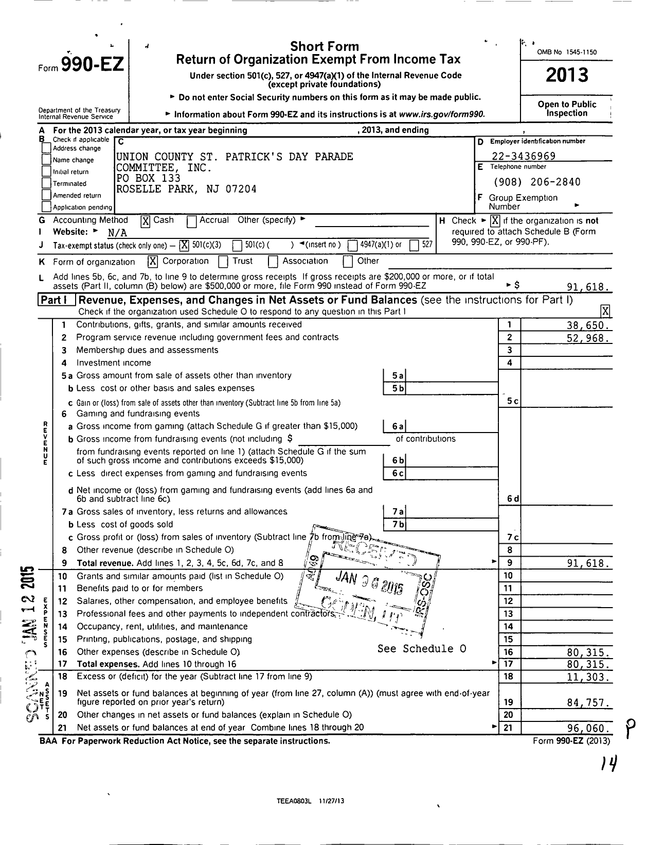 Image of first page of 2013 Form 990EZ for Union County St Patrick's Day Parade