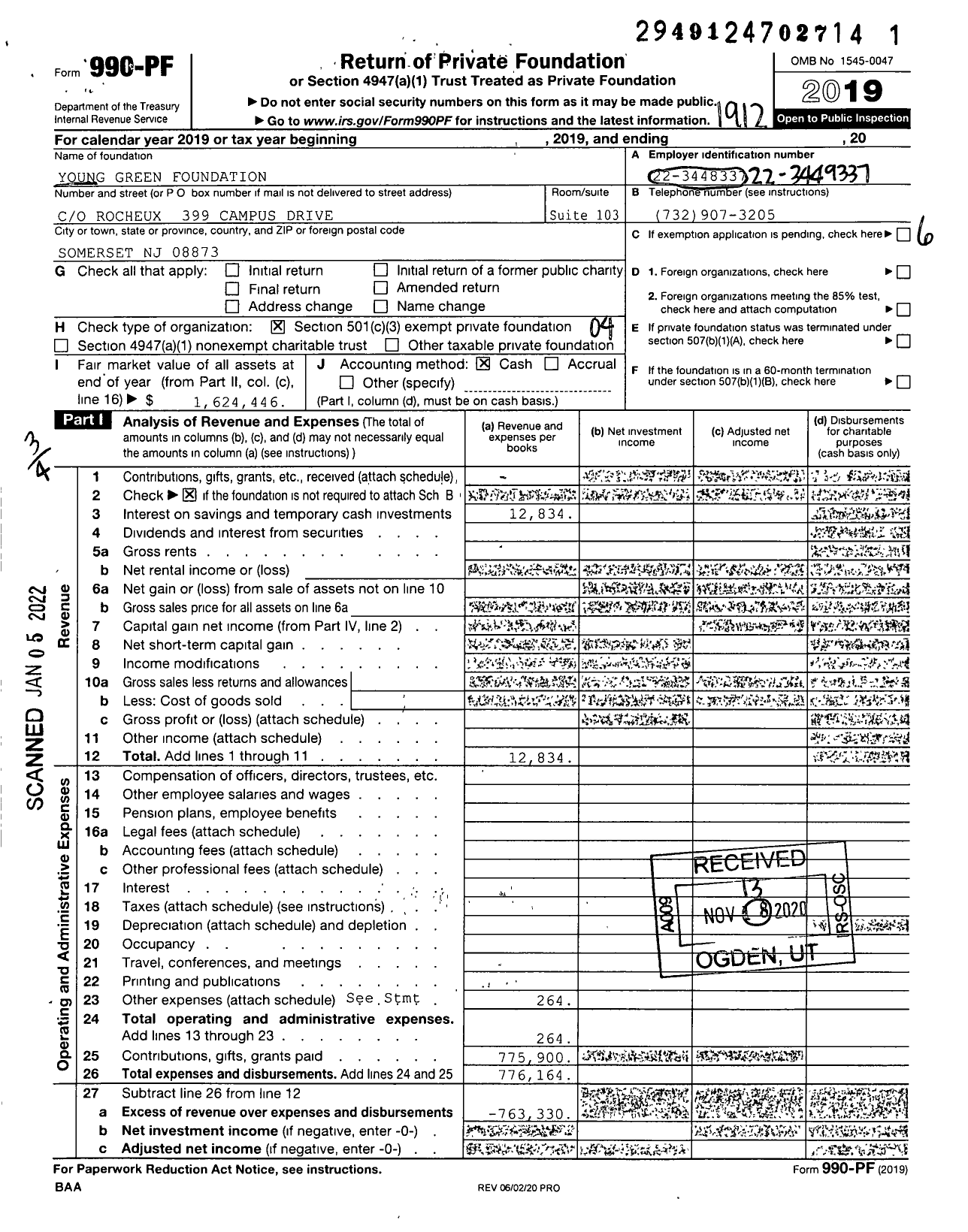 Image of first page of 2019 Form 990PF for Young Green Foundation