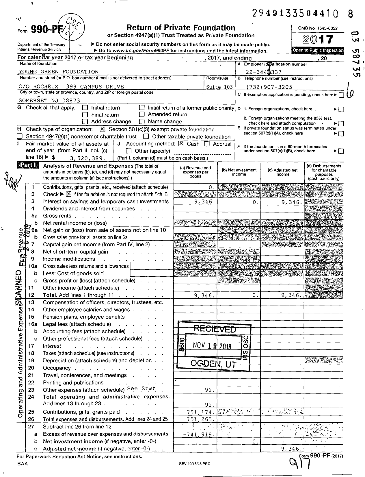 Image of first page of 2017 Form 990PF for Young Green Foundation