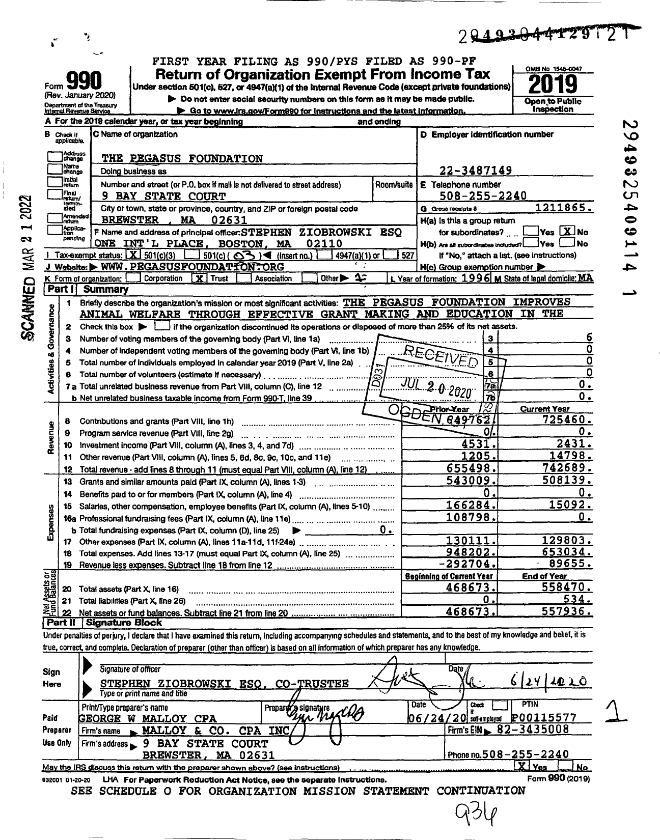 Image of first page of 2019 Form 990 for The Pegasus Foundation