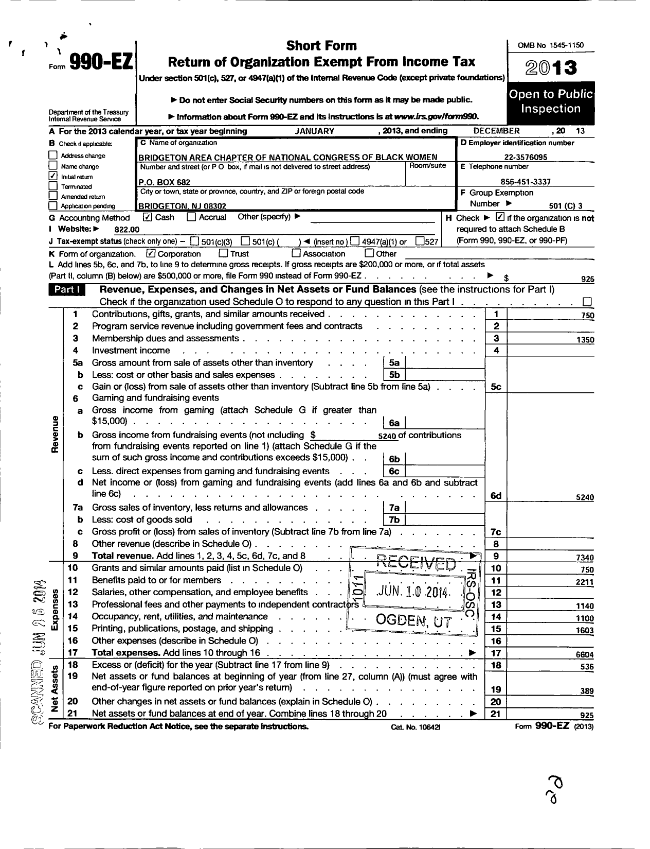 Image of first page of 2013 Form 990EO for Bridgeton Area Chapter of National Polital Congress of Black Woman