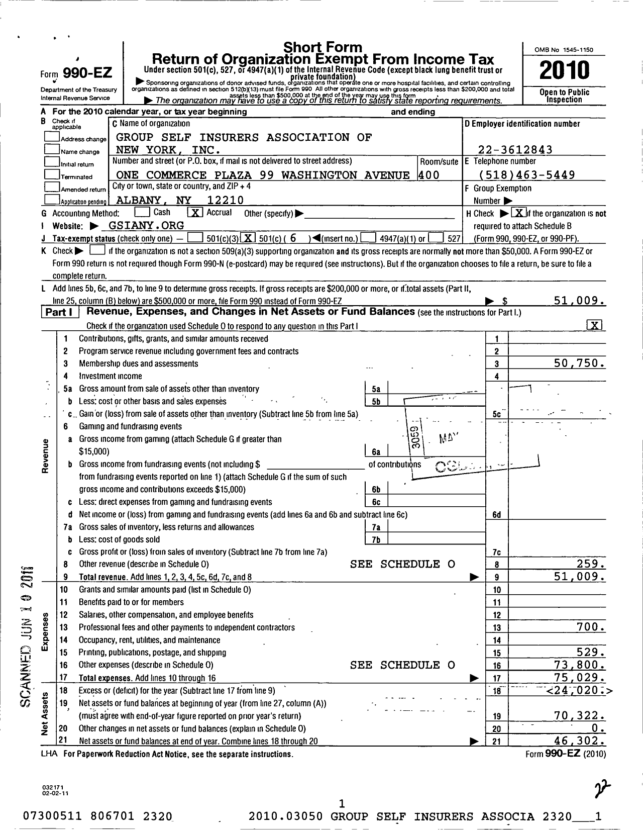 Image of first page of 2010 Form 990EO for Group Self Insurers Association of New York