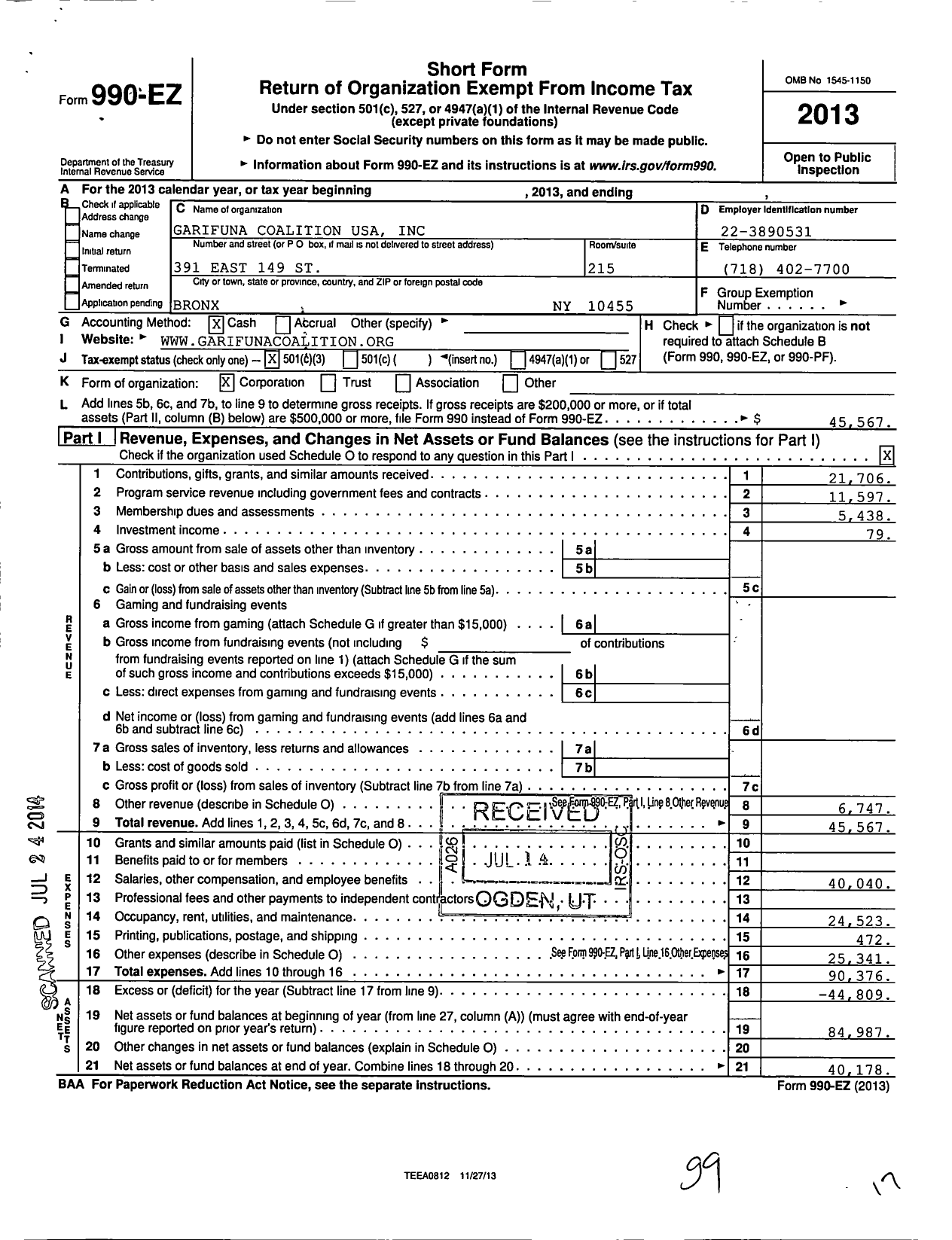 Image of first page of 2013 Form 990EZ for Garifuna Coalition USA