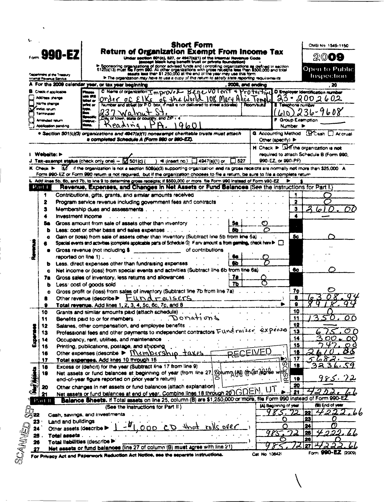 Image of first page of 2009 Form 990EO for Mary Alice Temple 108