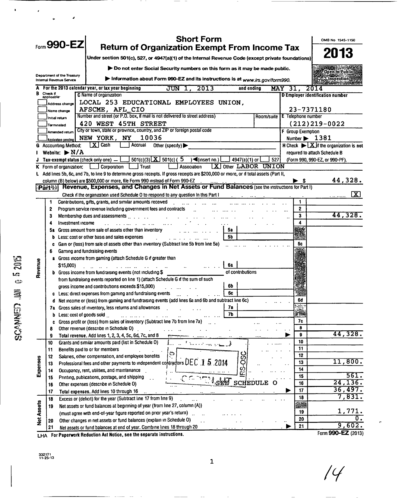 Image of first page of 2013 Form 990EO for American Federation of State County & Municipal Employees - 253 Ny Loc Teach-Related Organizatn