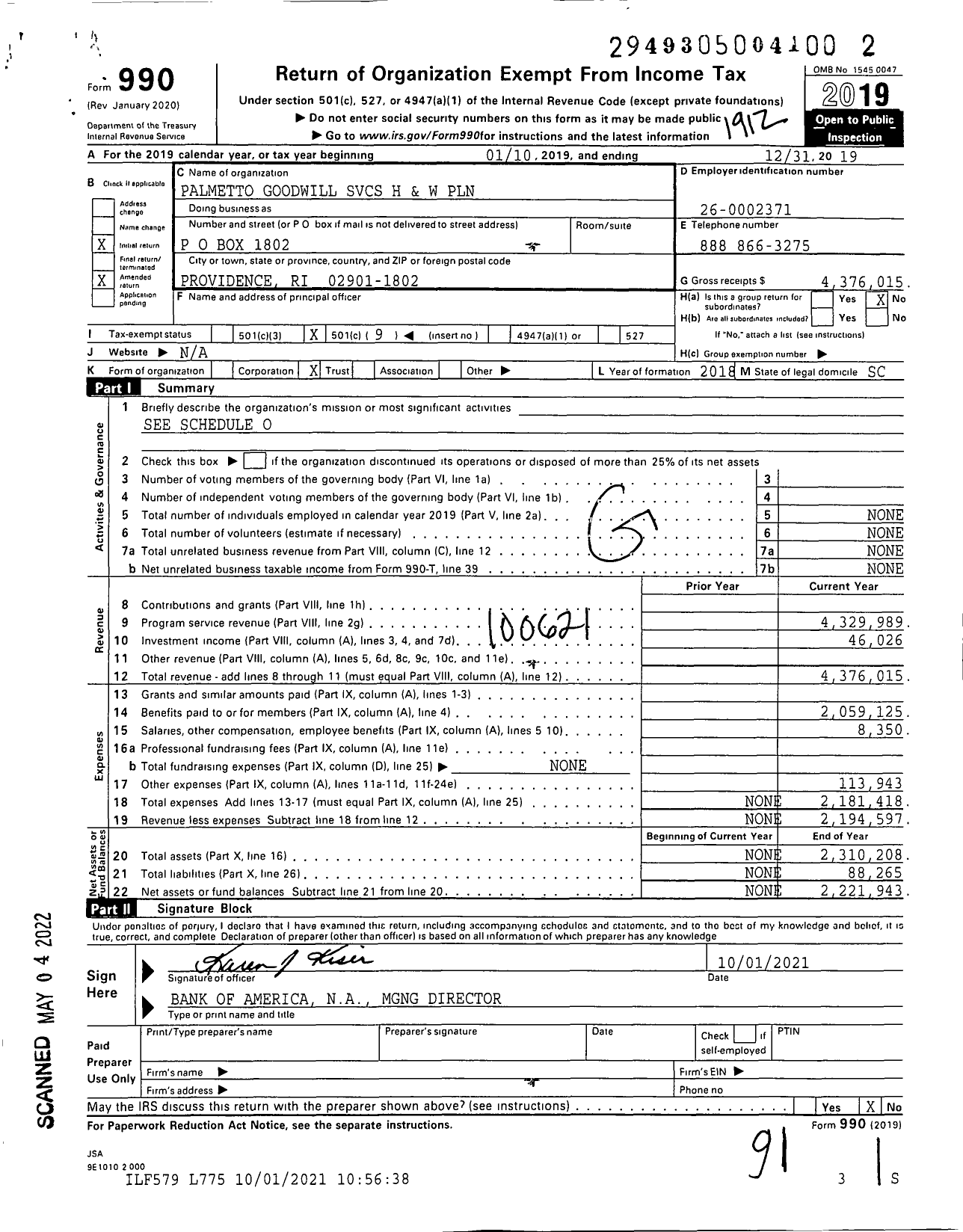 Image of first page of 2019 Form 990O for Palmetto Goodwill SVCS H and W PLN