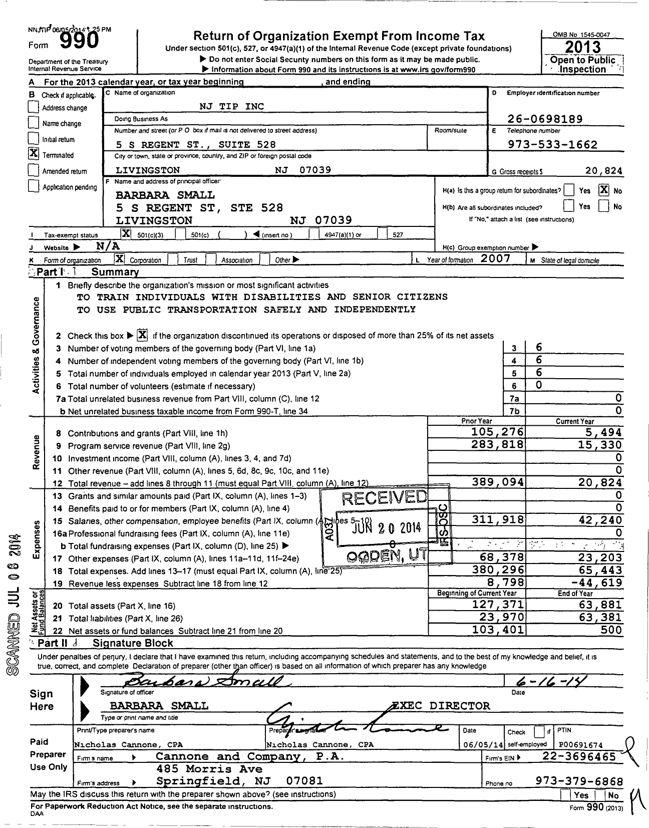 Image of first page of 2013 Form 990 for NJ Tip