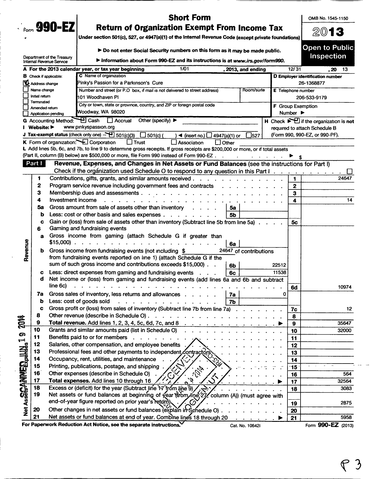 Image of first page of 2013 Form 990EZ for Pinkys Passion for A Parkinsons Cure