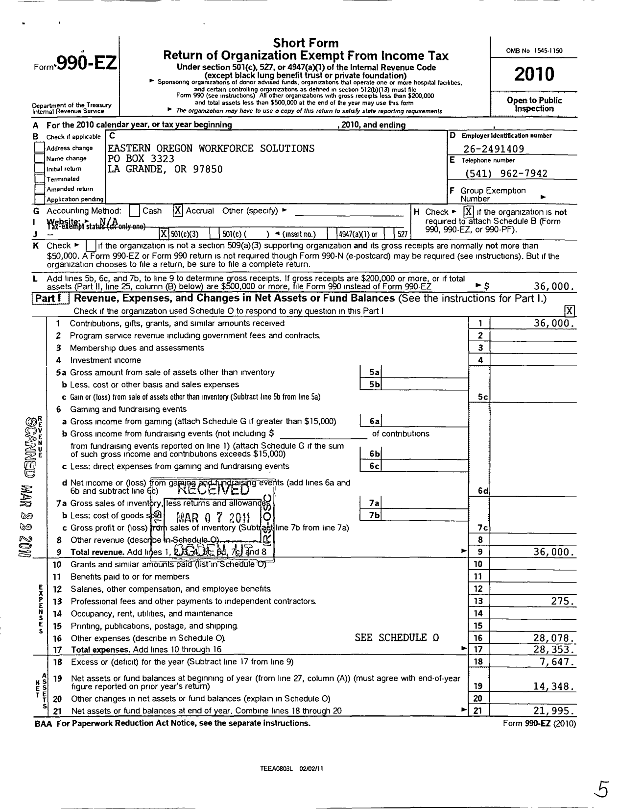 Image of first page of 2010 Form 990EZ for Eastern Oregon Workforce Solutions