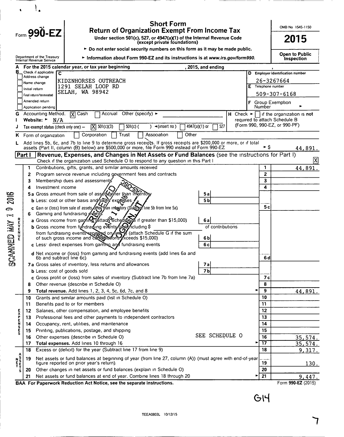 Image of first page of 2015 Form 990EZ for Kidznhorses Outreach