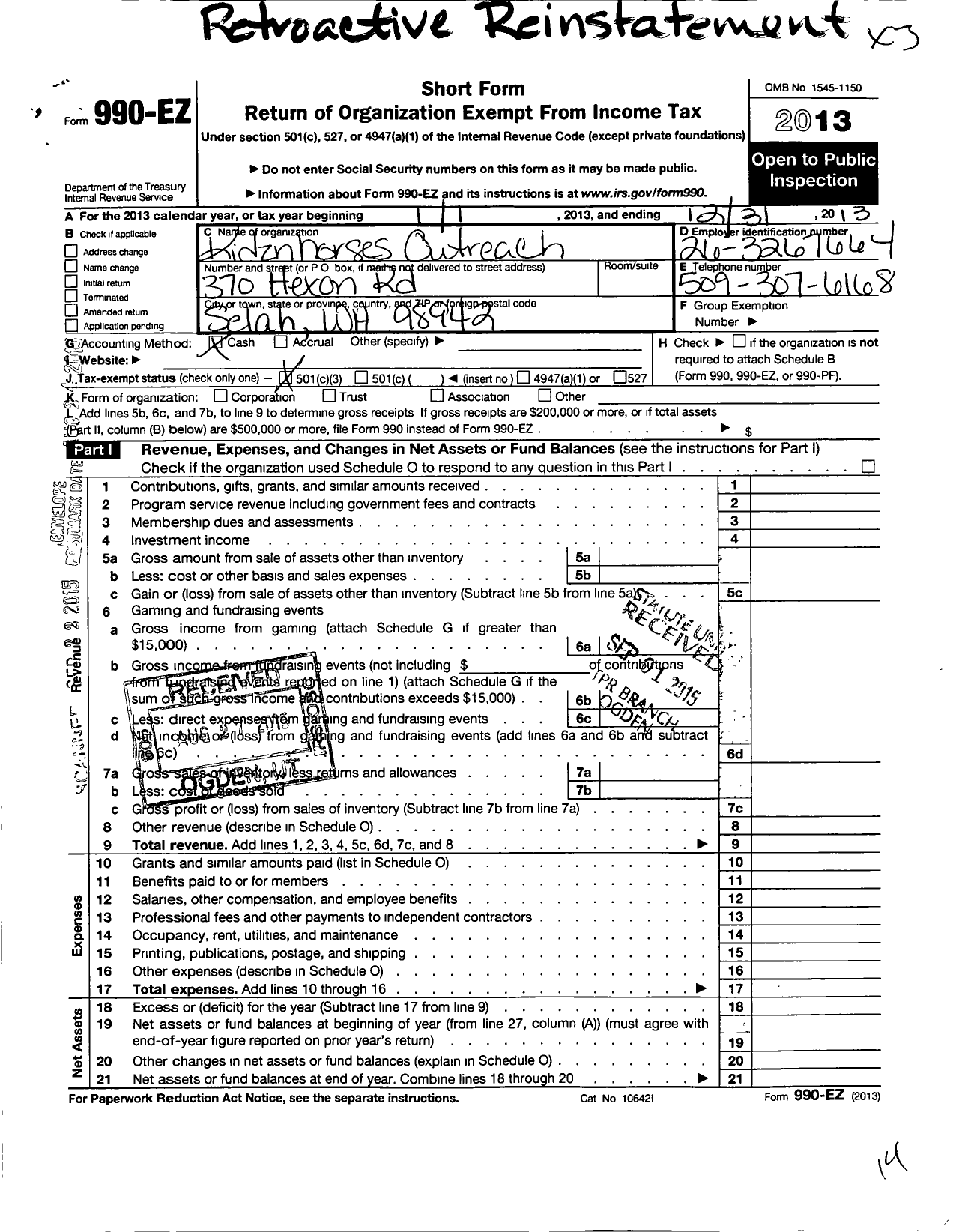 Image of first page of 2013 Form 990EZ for Kidznhorses Outreach