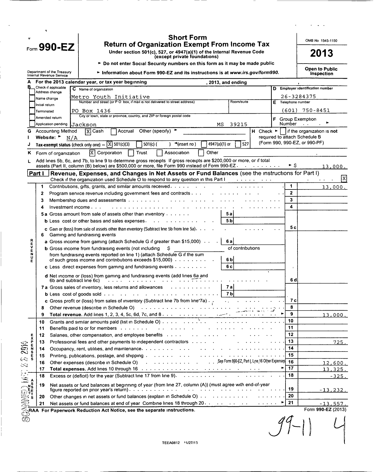 Image of first page of 2013 Form 990EZ for Metro Youth Initiative