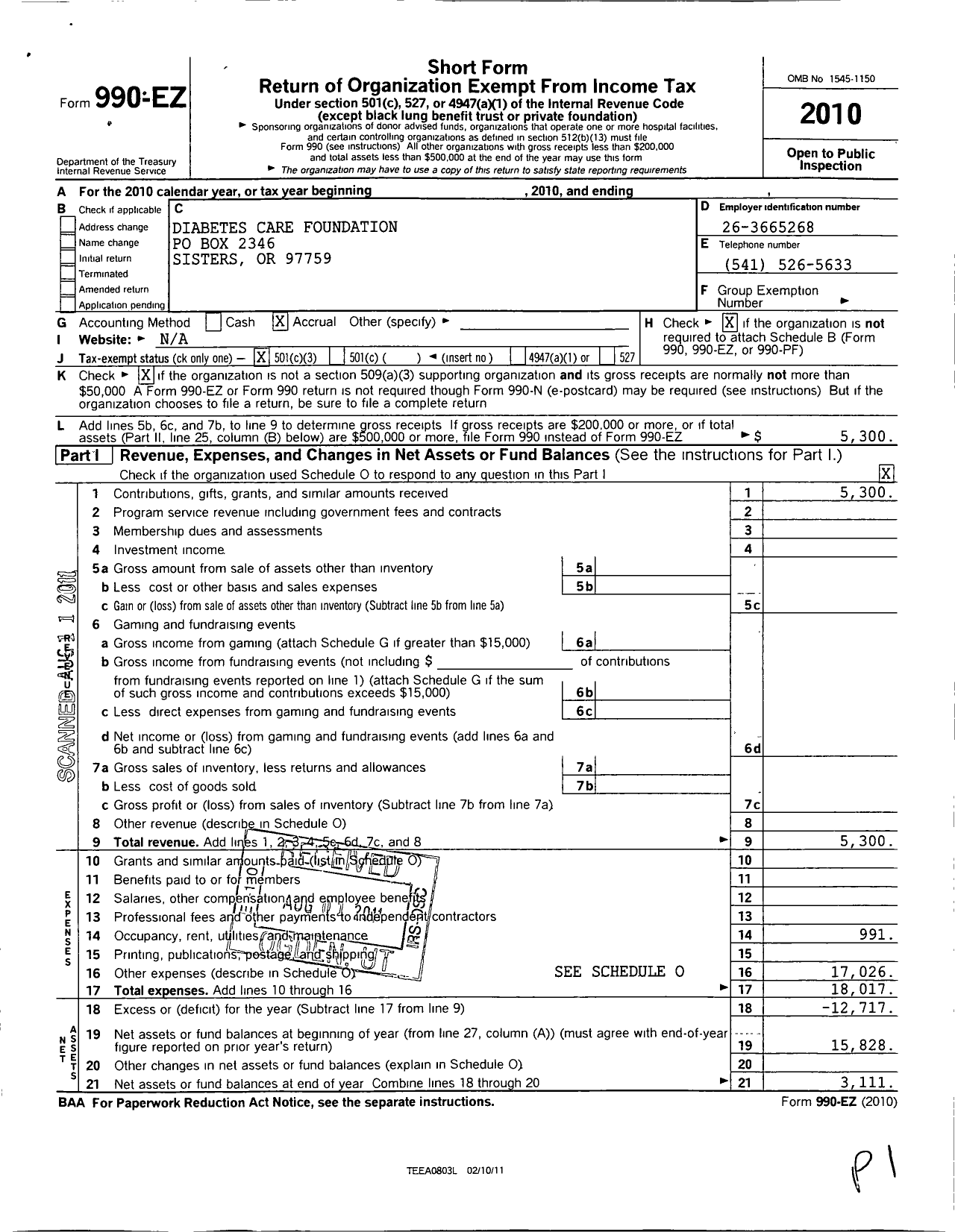 Image of first page of 2010 Form 990EZ for Diabetes Nation