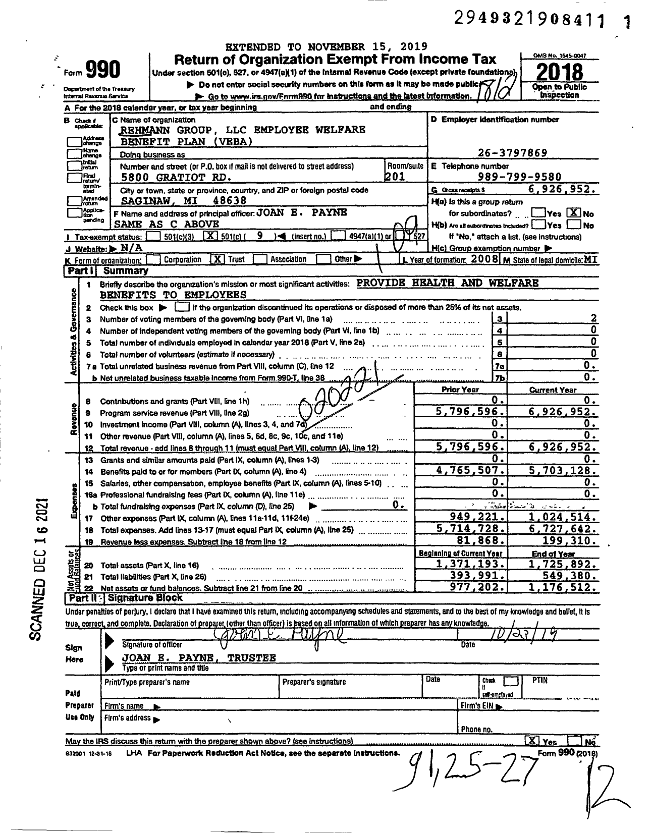 Image of first page of 2018 Form 990O for Rehmann Group LLC Employee Welfare Benefit Plan