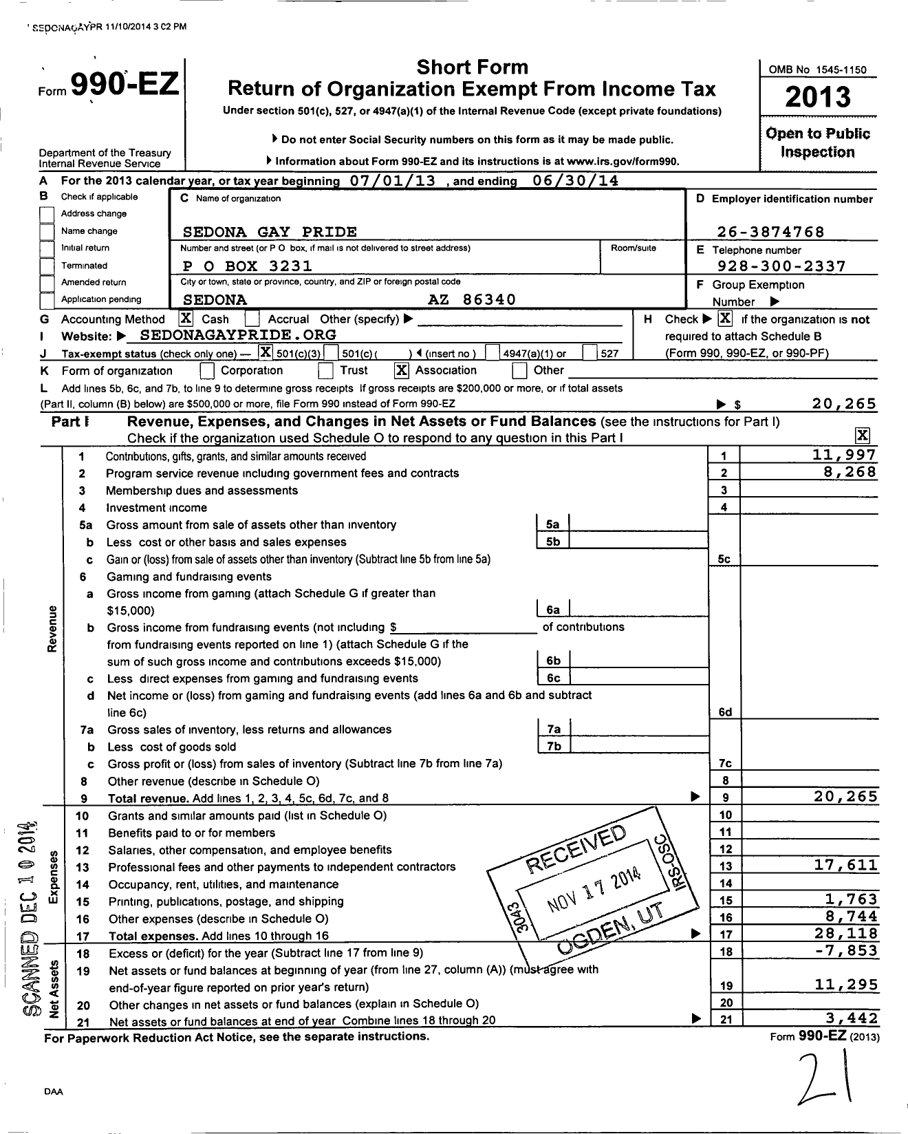 Image of first page of 2013 Form 990EZ for Sedona Gay Pride