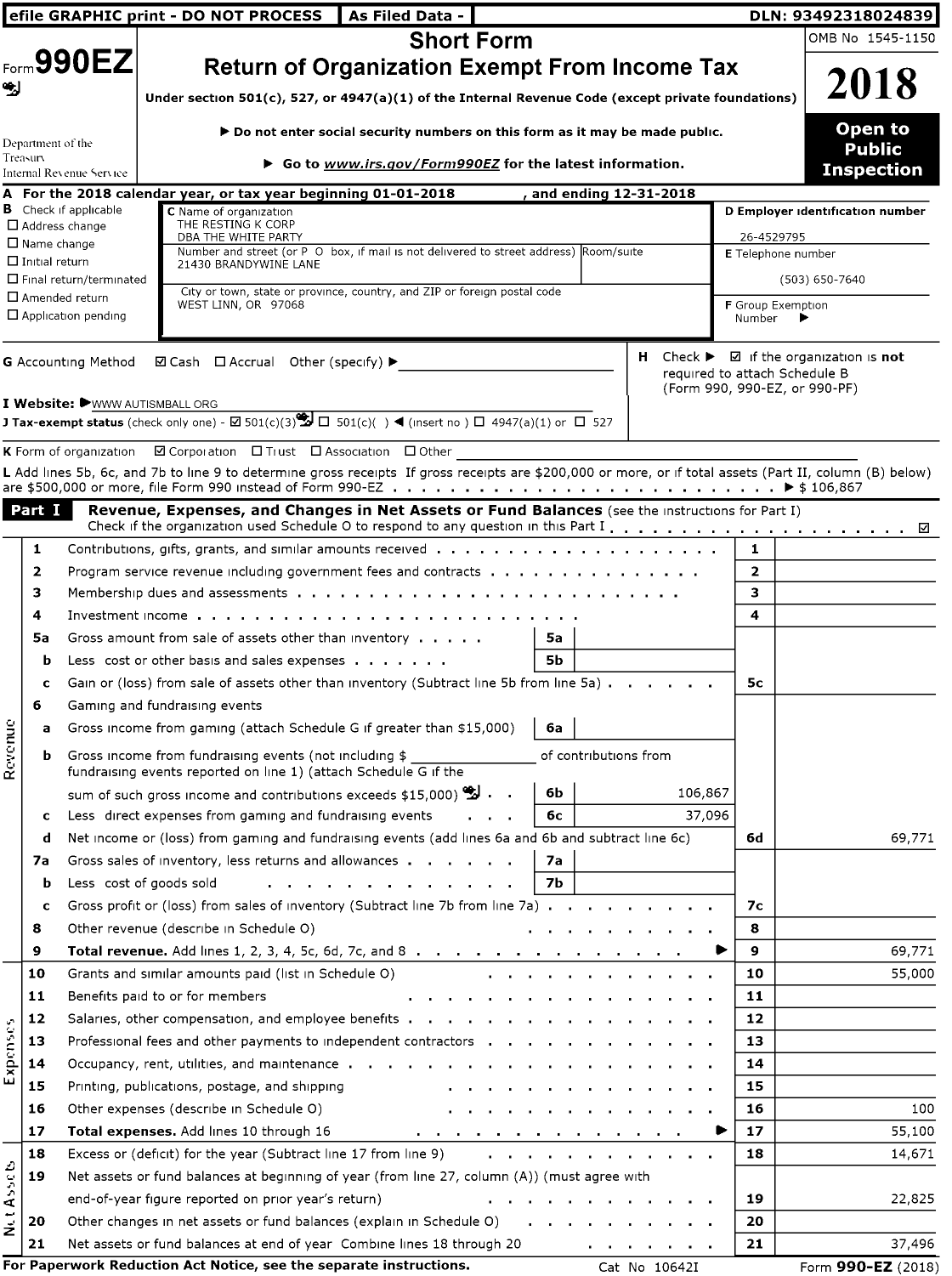 Image of first page of 2018 Form 990EZ for The White Party